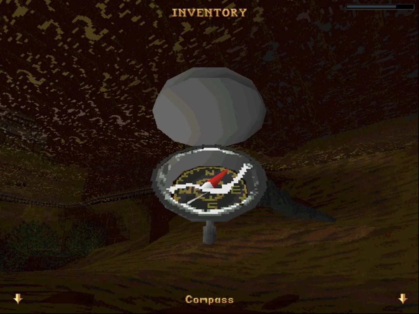 Tomb Raider: Gold screenshot 3