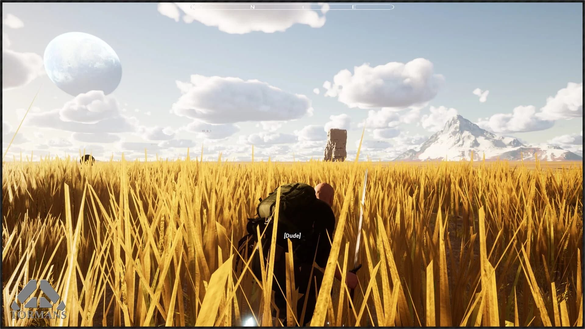 Tormans screenshot 3