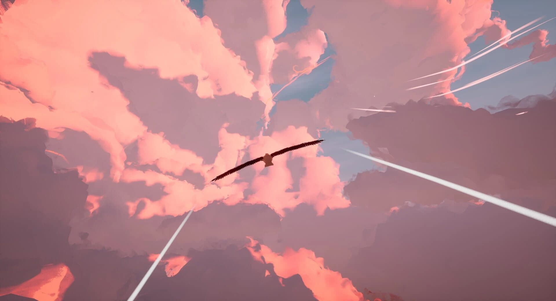 Toroa: Skycall screenshot 5