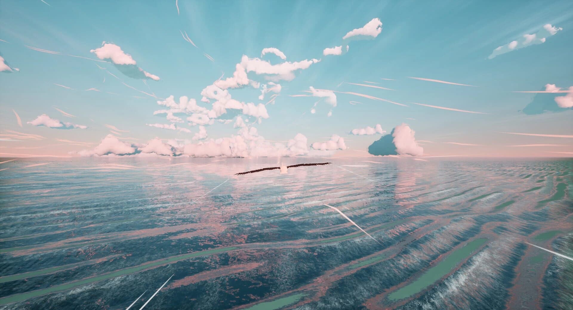 Toroa: Skycall screenshot 1