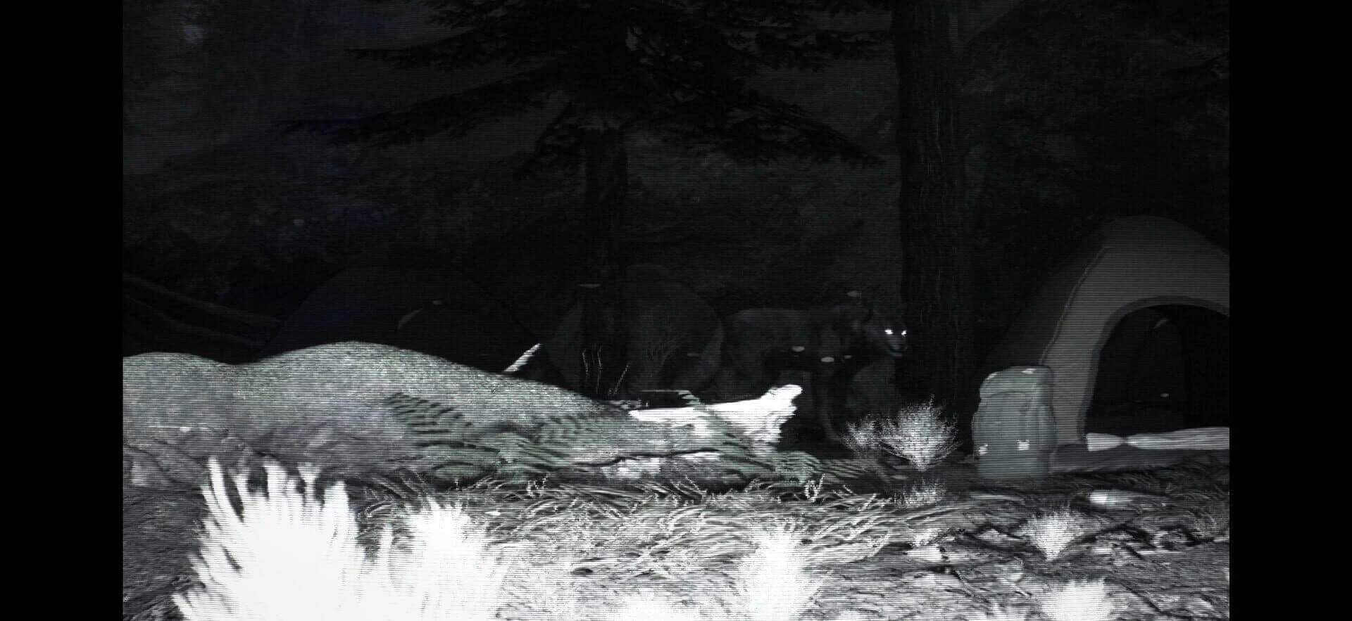 Trailcam screenshot 3