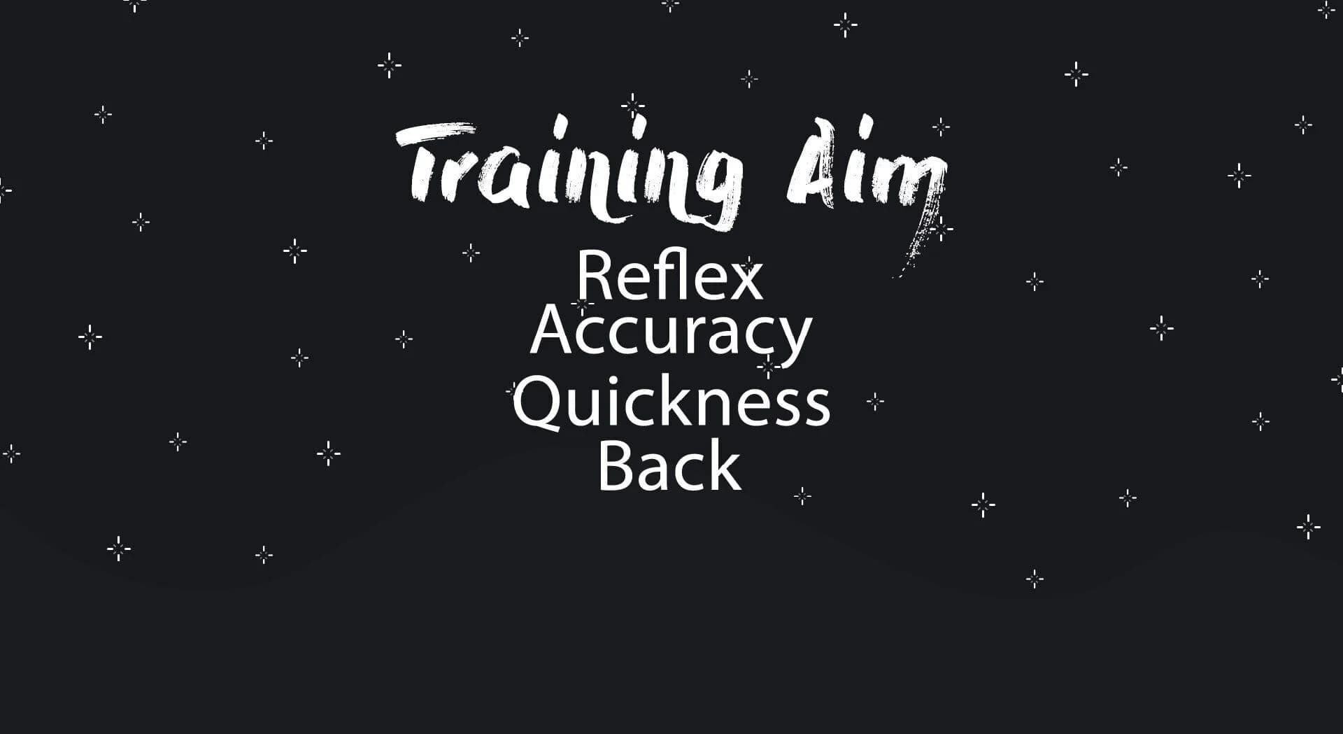 Training aim screenshot 2