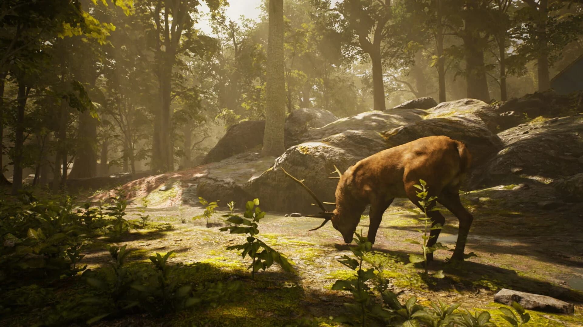 Trapper Simulator screenshot 1