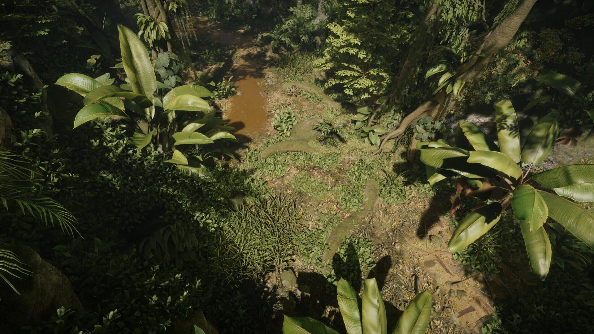 Tropica: Survival 1095 screenshot 3