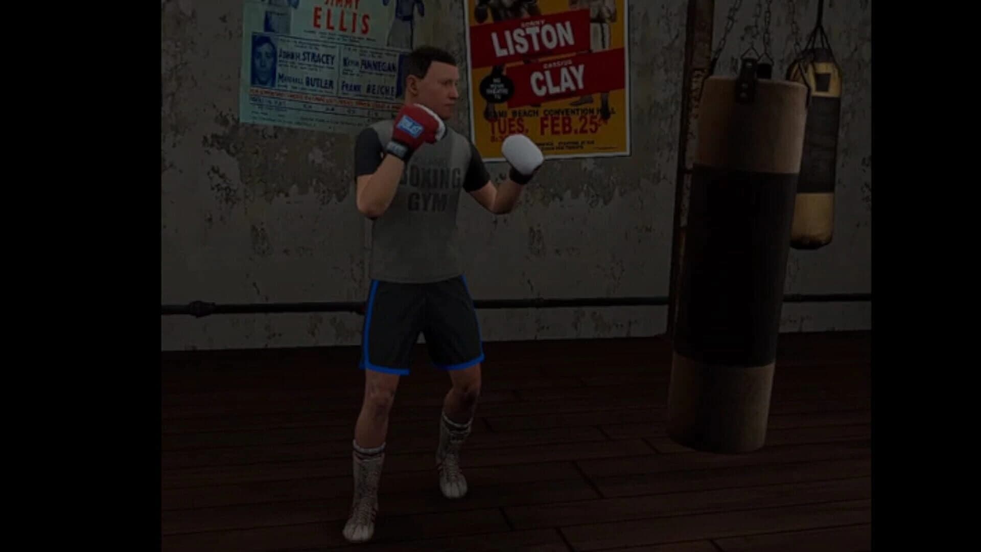 True Boxing VR screenshot 1