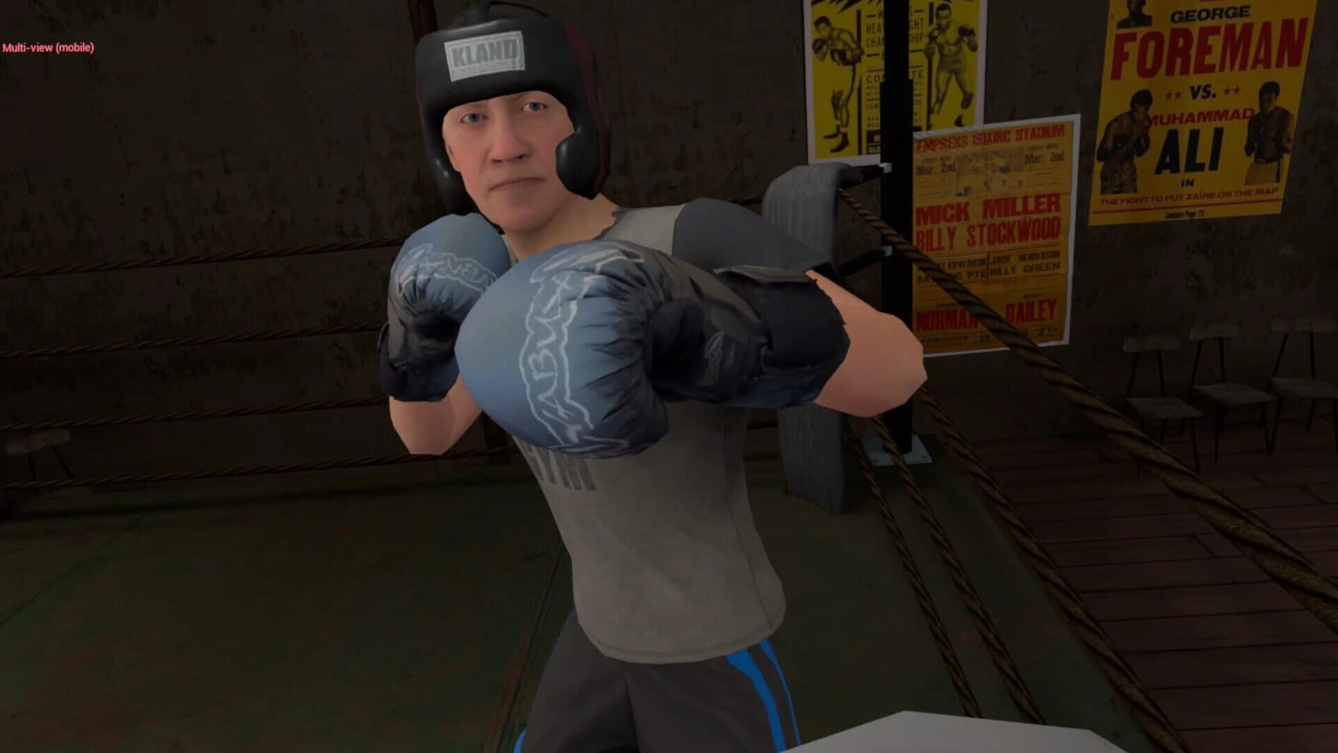 True Boxing VR screenshot 4