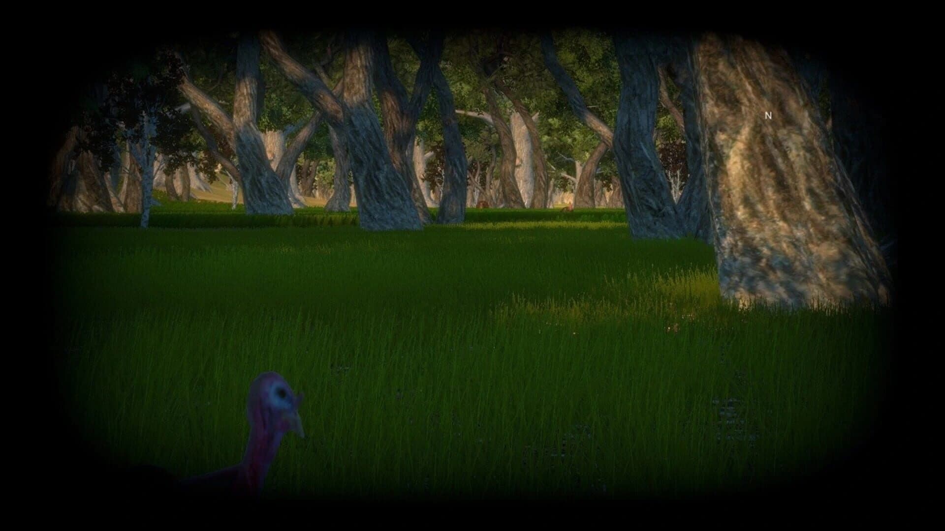 Turkey Hunting Unlimited screenshot 4