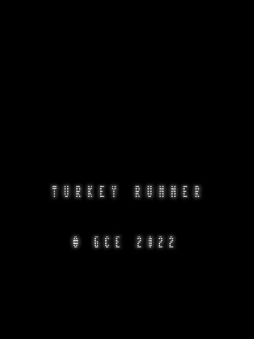 Turkey Runner screenshot 2