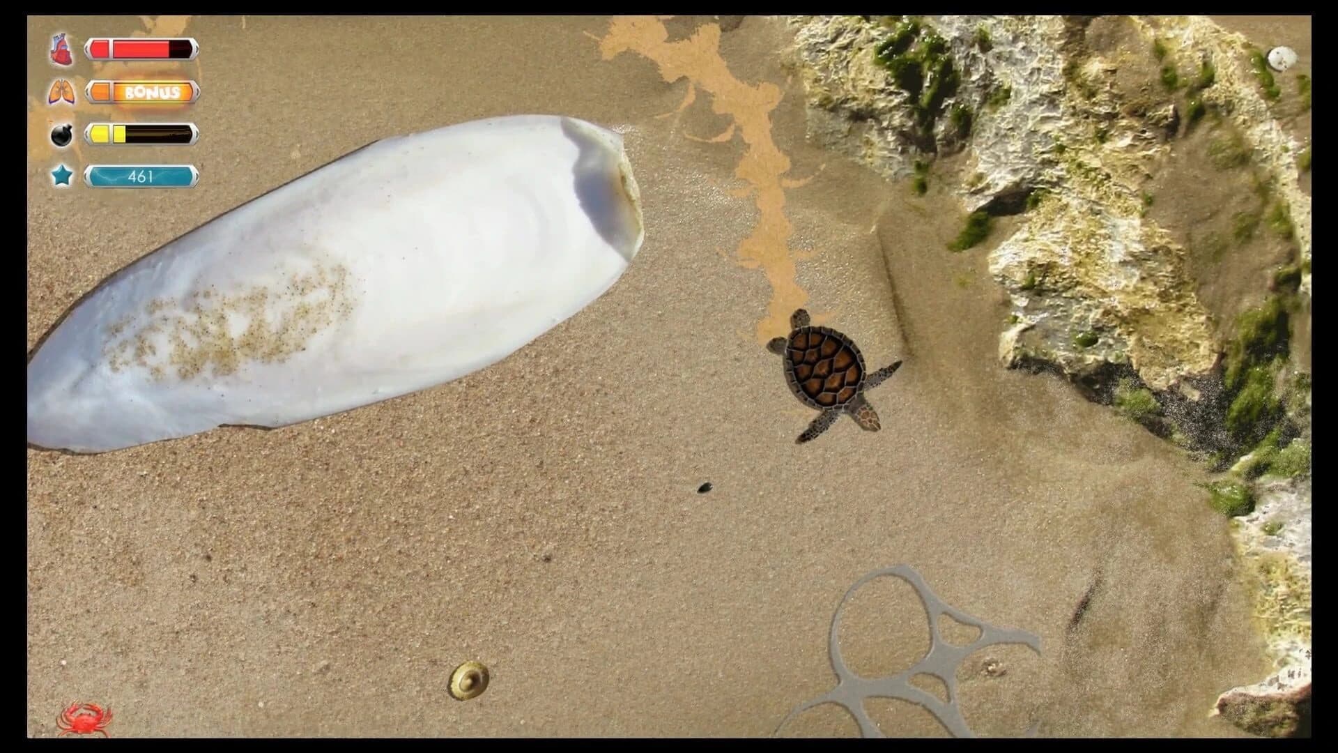 Turtle Quest screenshot 1