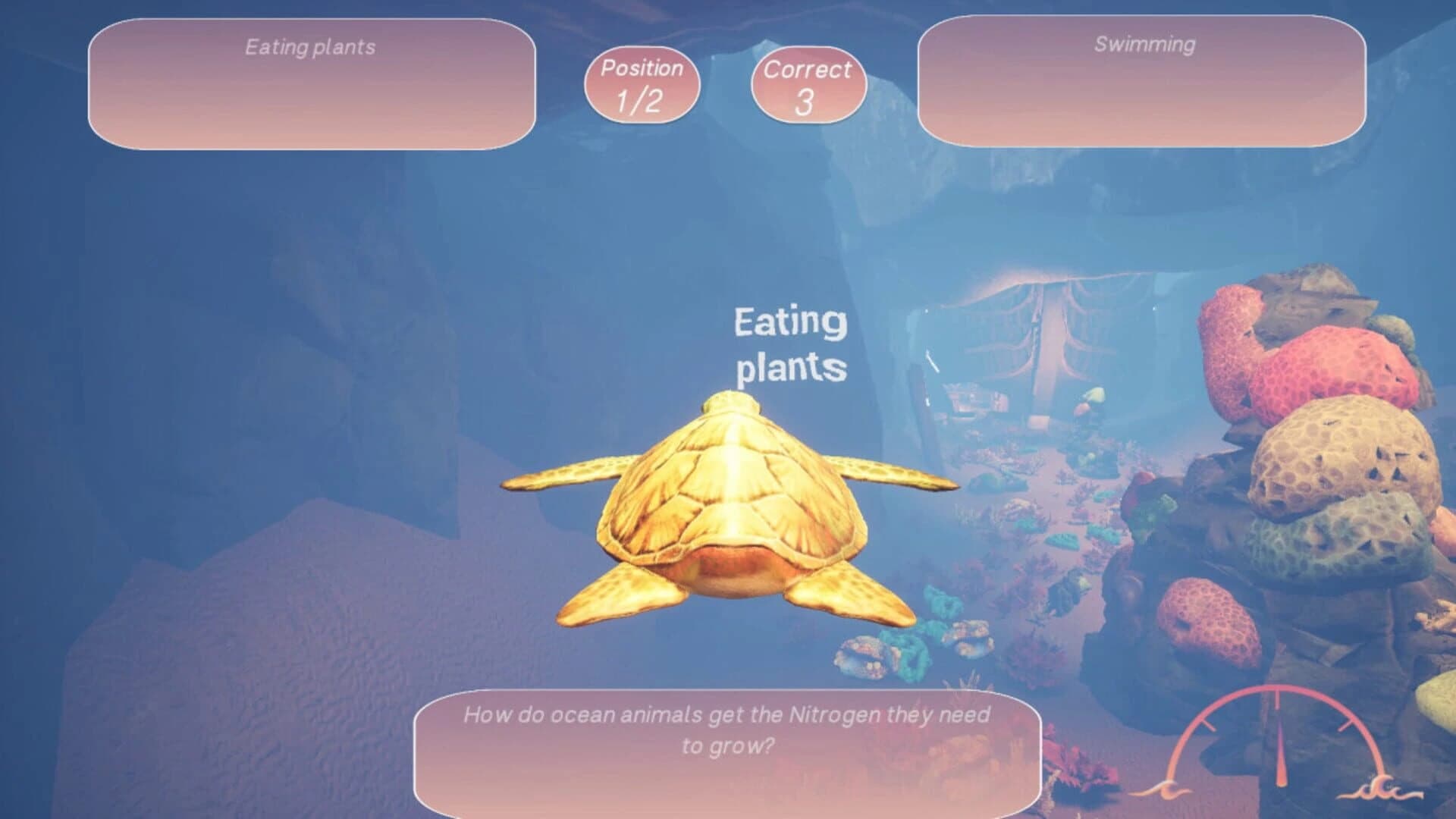 Turtle Racer screenshot 3