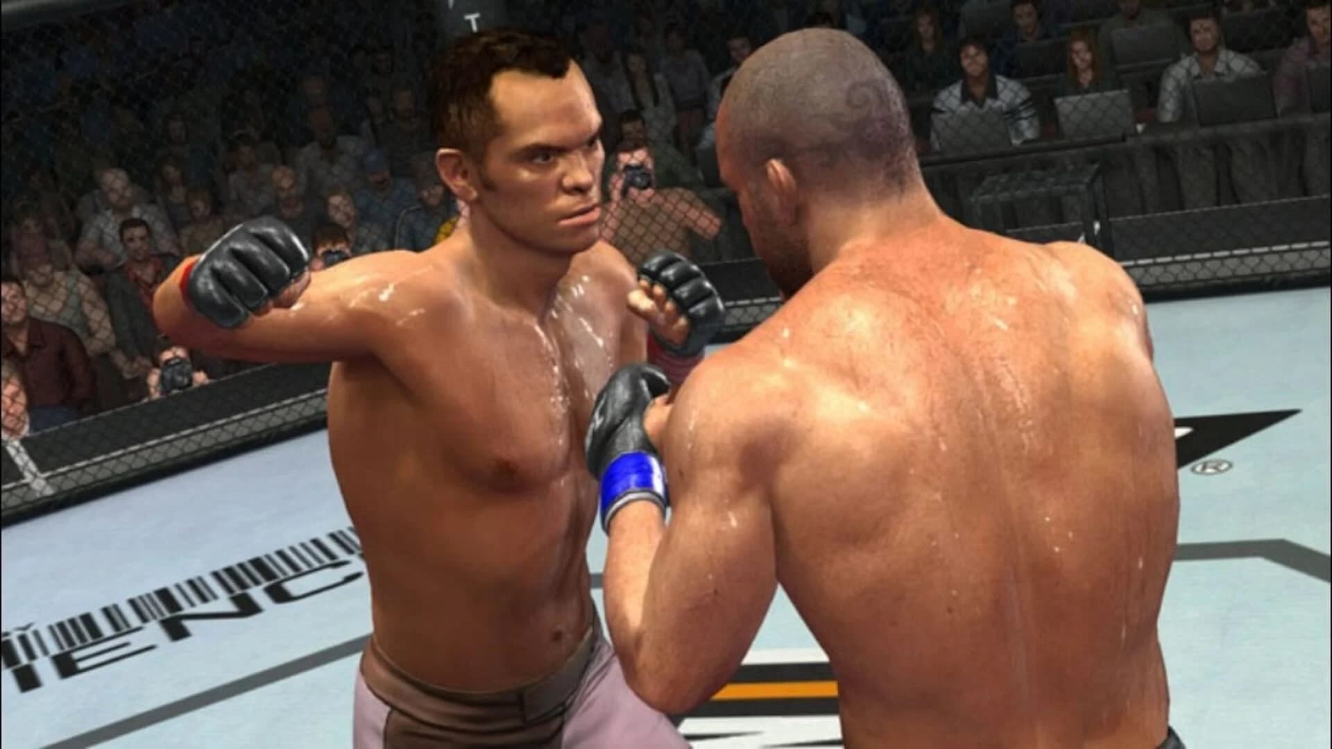 UFC 2009 Undisputed screenshot 1