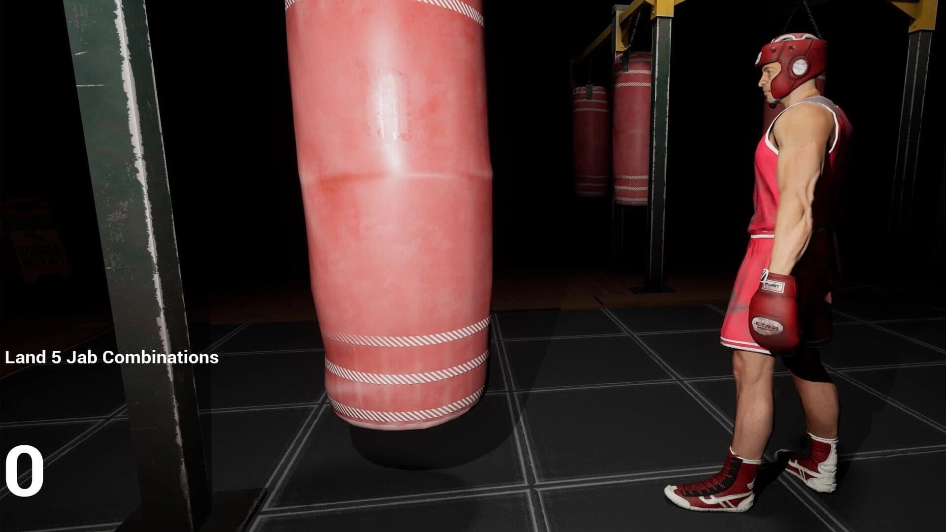 Ultimate Sparring screenshot 1