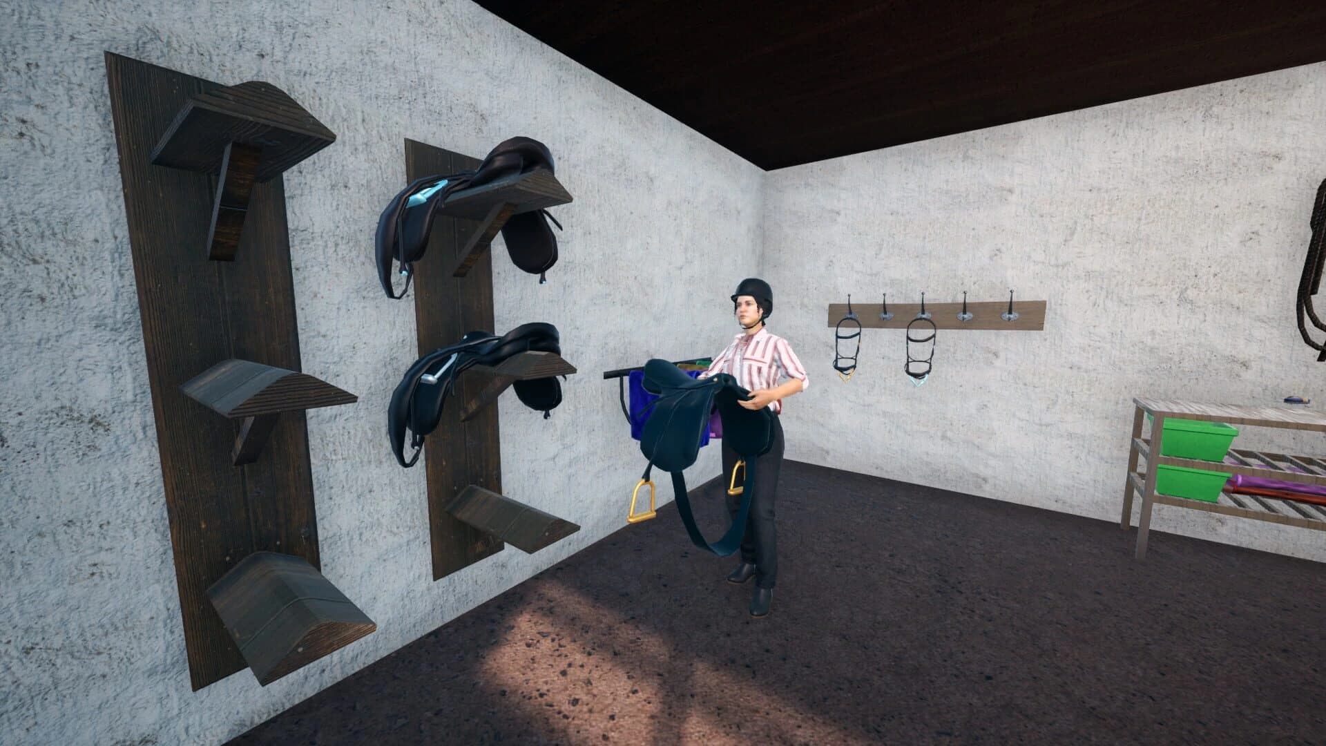 Unbridled: That Horse Game screenshot 4