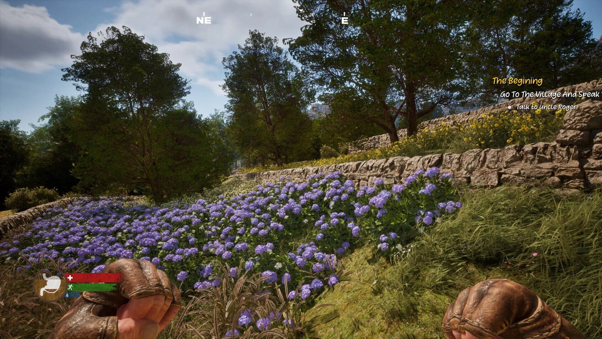 Undomestic screenshot 5