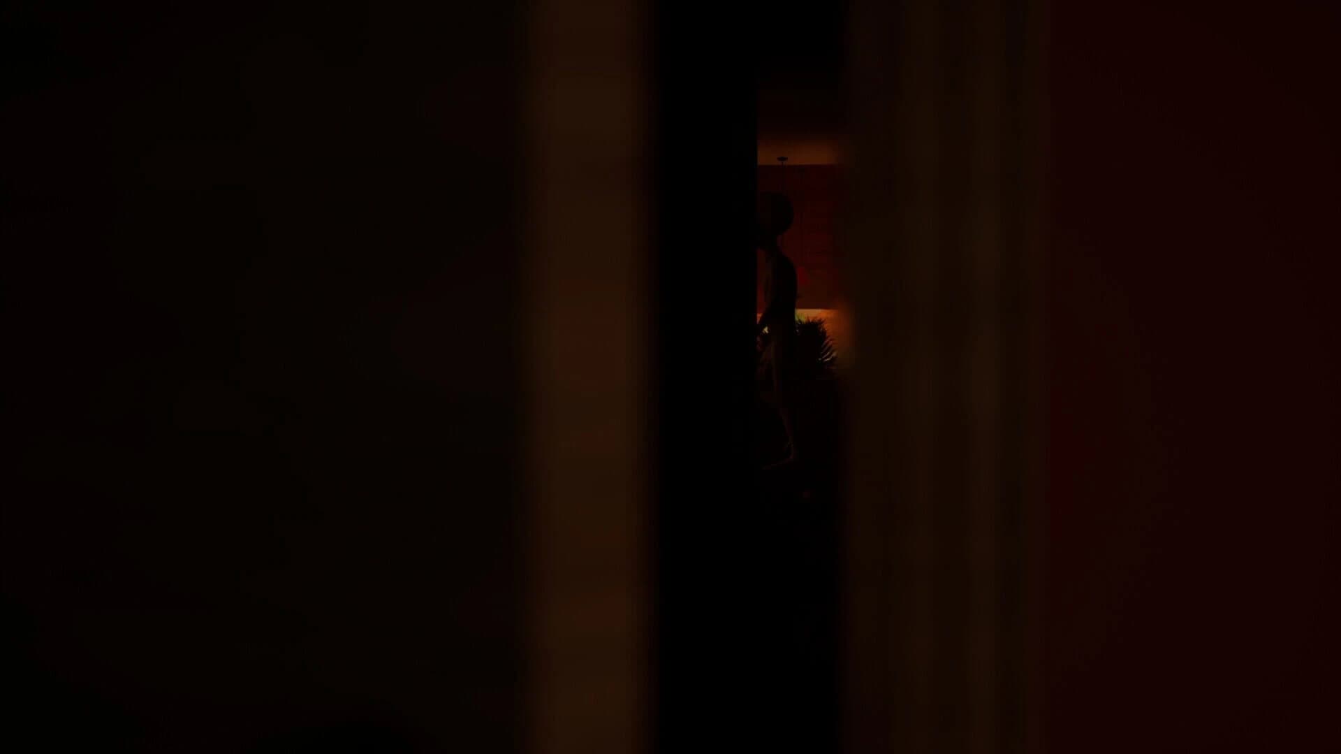 Unexpected Visitors screenshot 5
