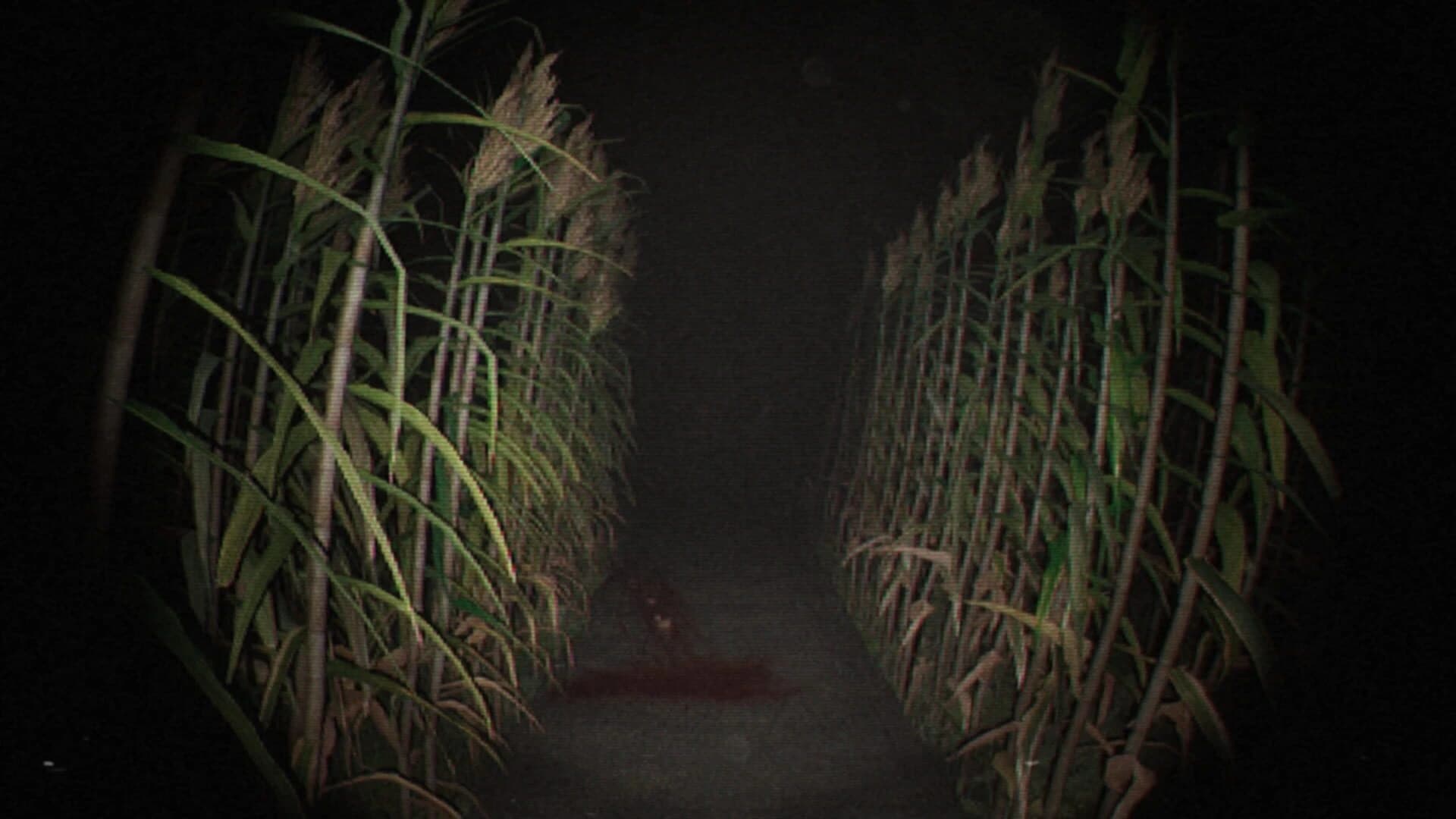 Unknown Tapes screenshot 2