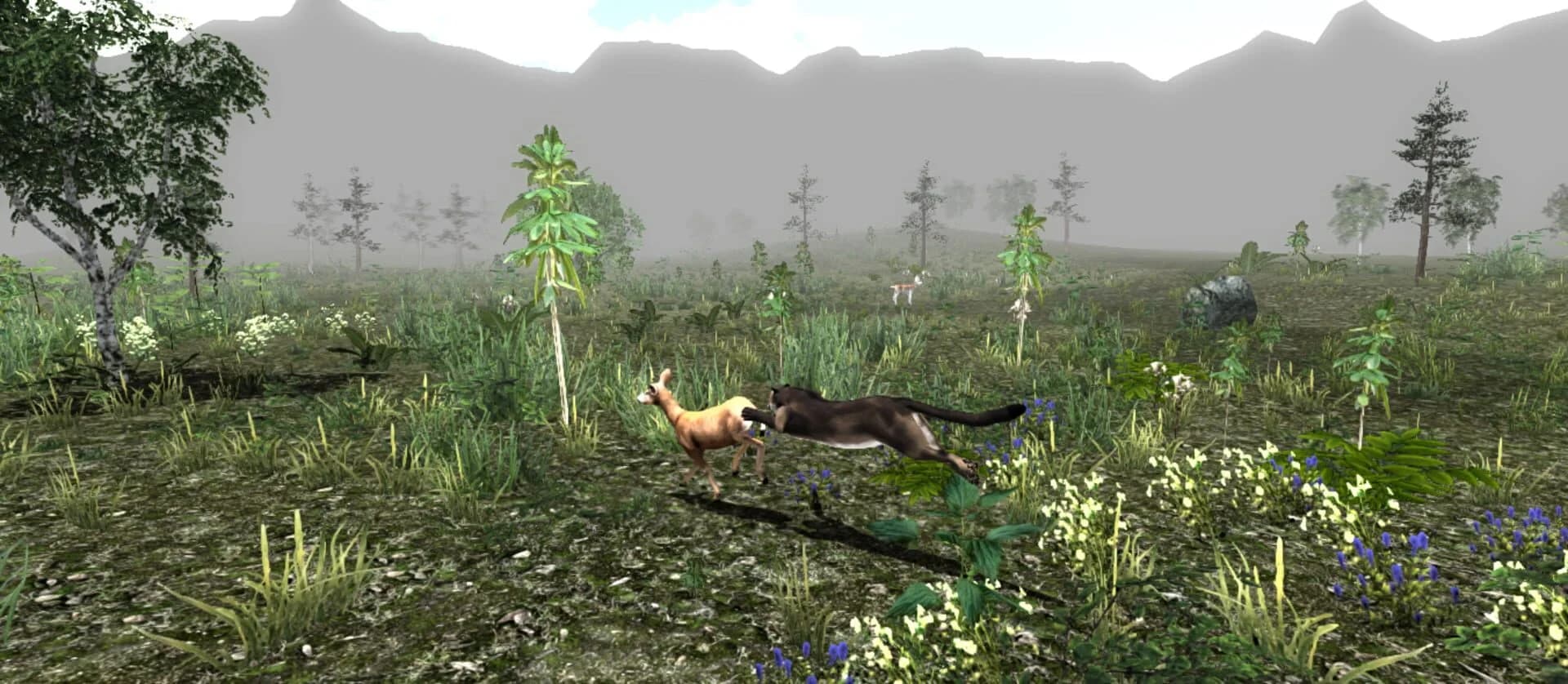Untamed: Life of a Cougar screenshot 2