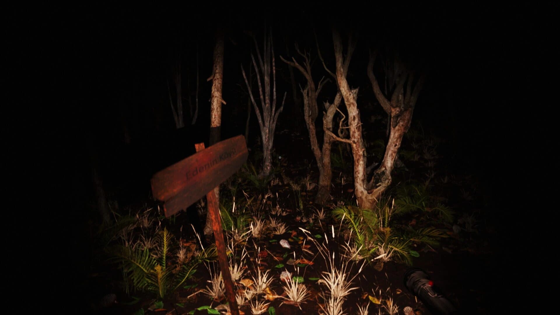 V696 screenshot 1