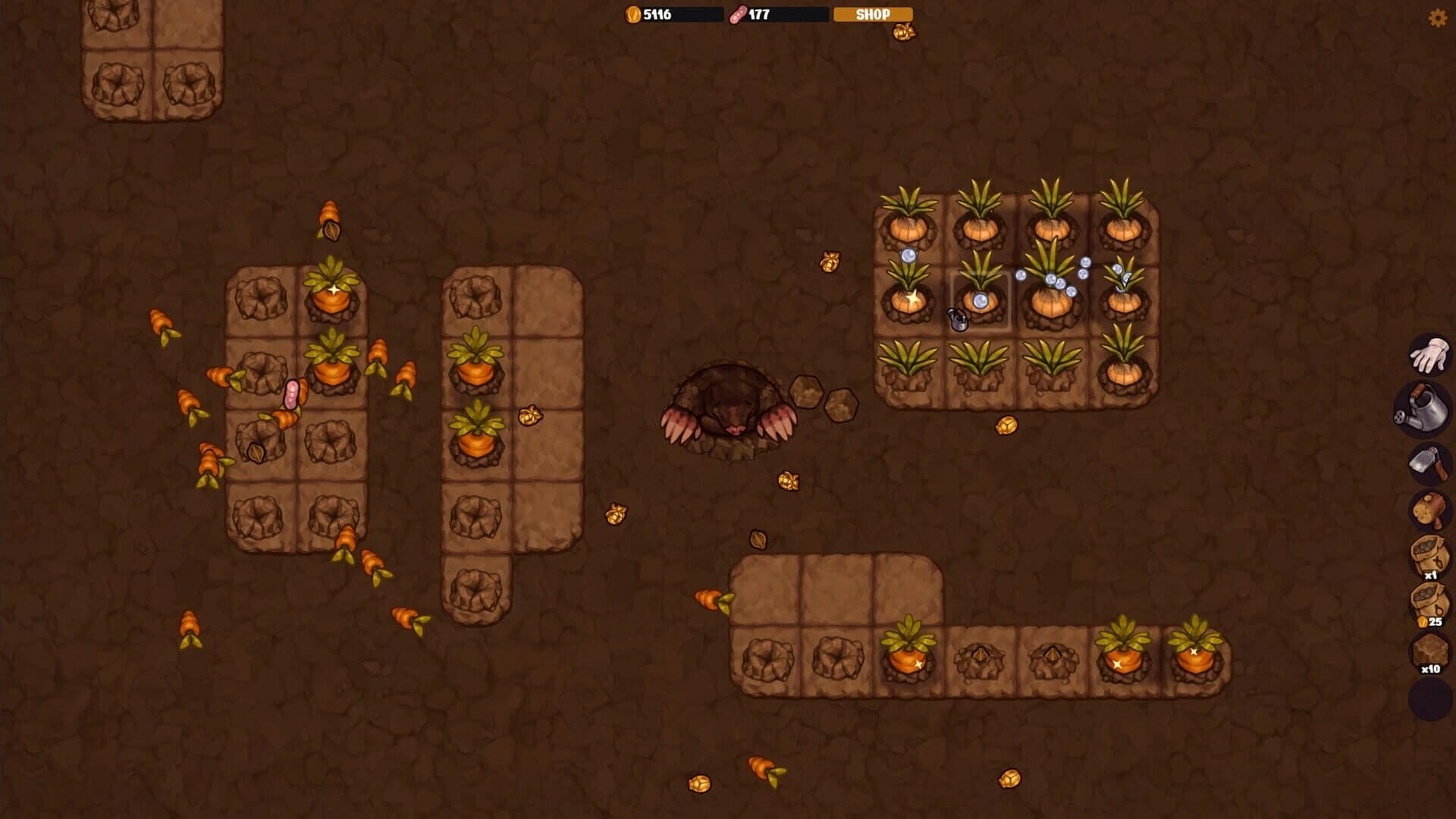 Vegemancer screenshot 2