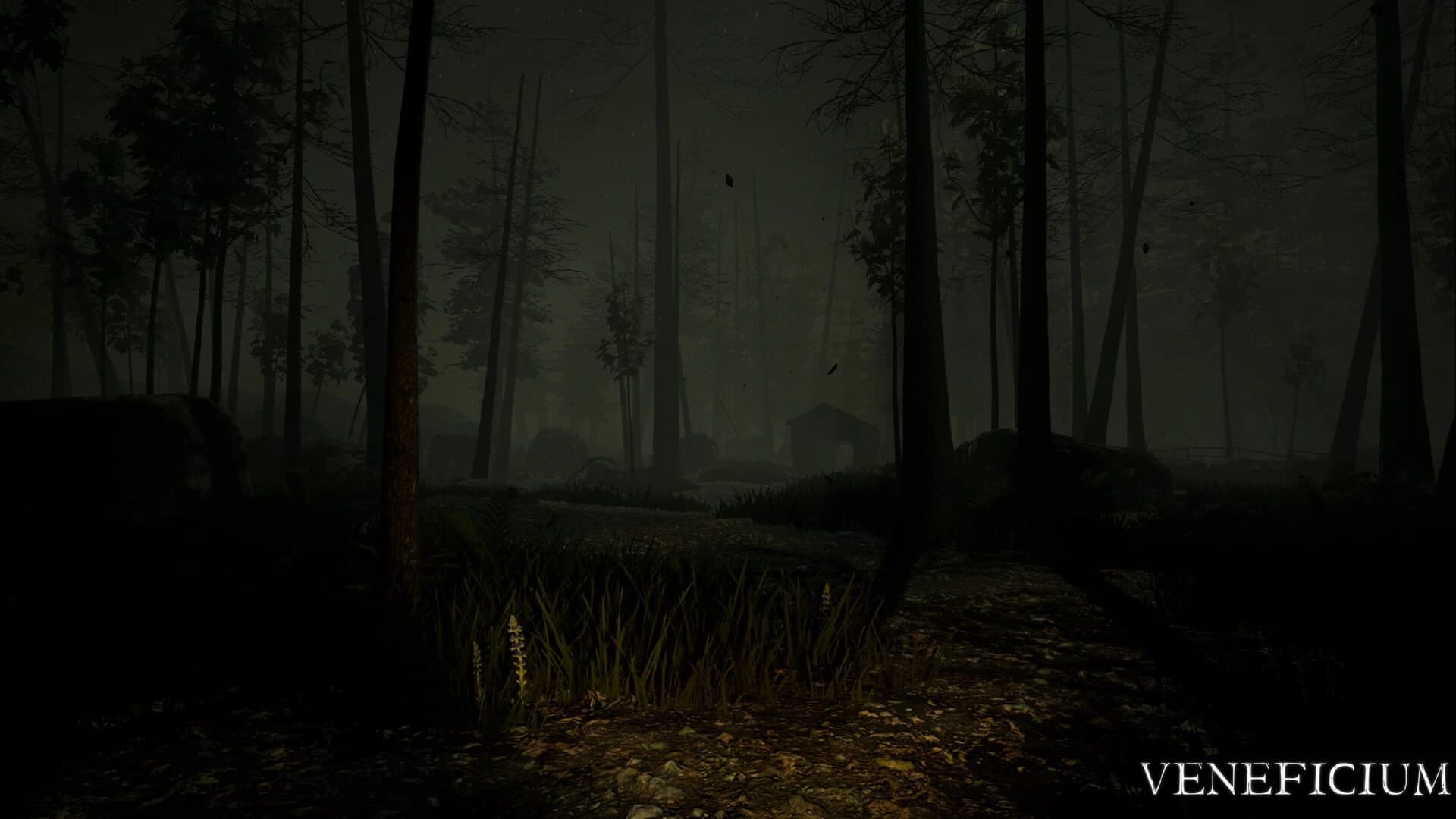 Veneficium screenshot 4