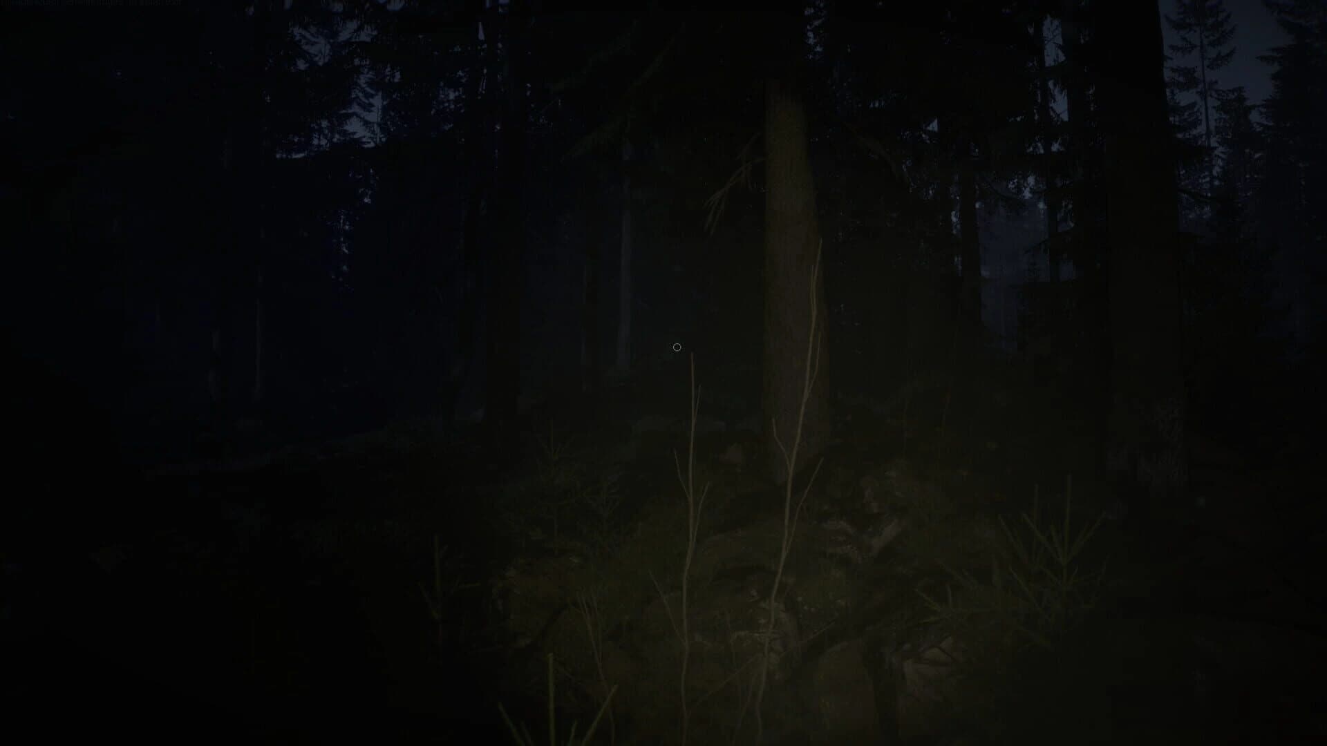 Veylora screenshot 1