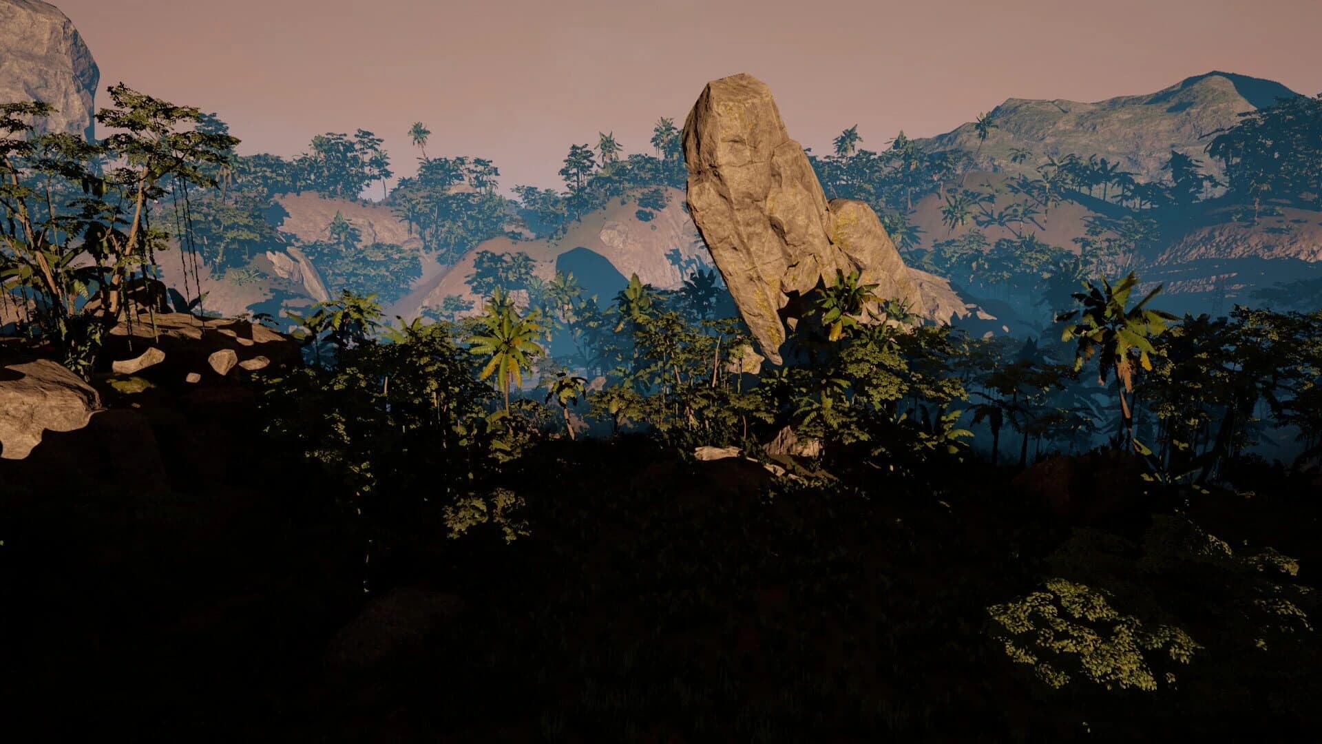 VHAIP screenshot 2