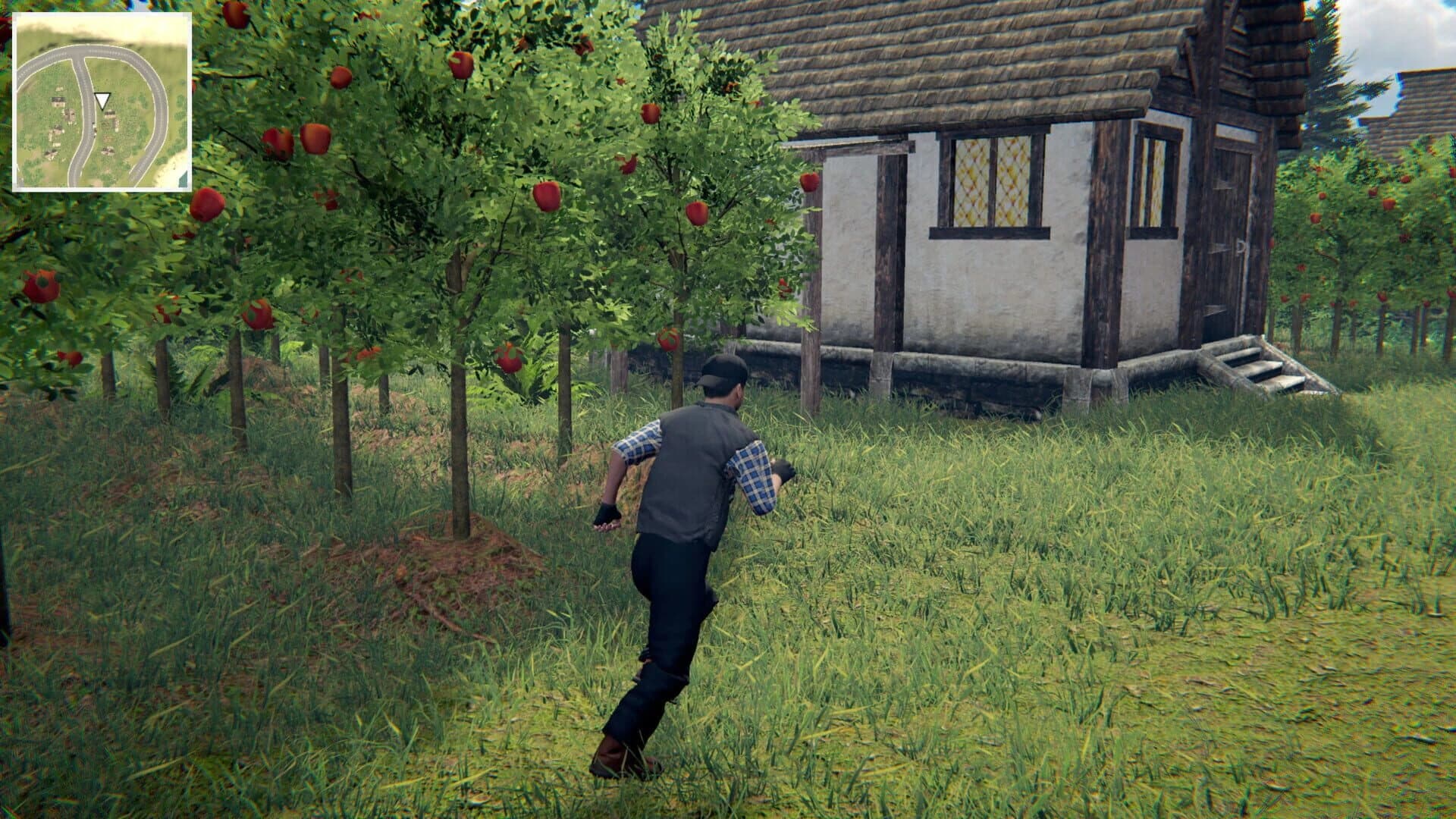 Village Dealer screenshot 3