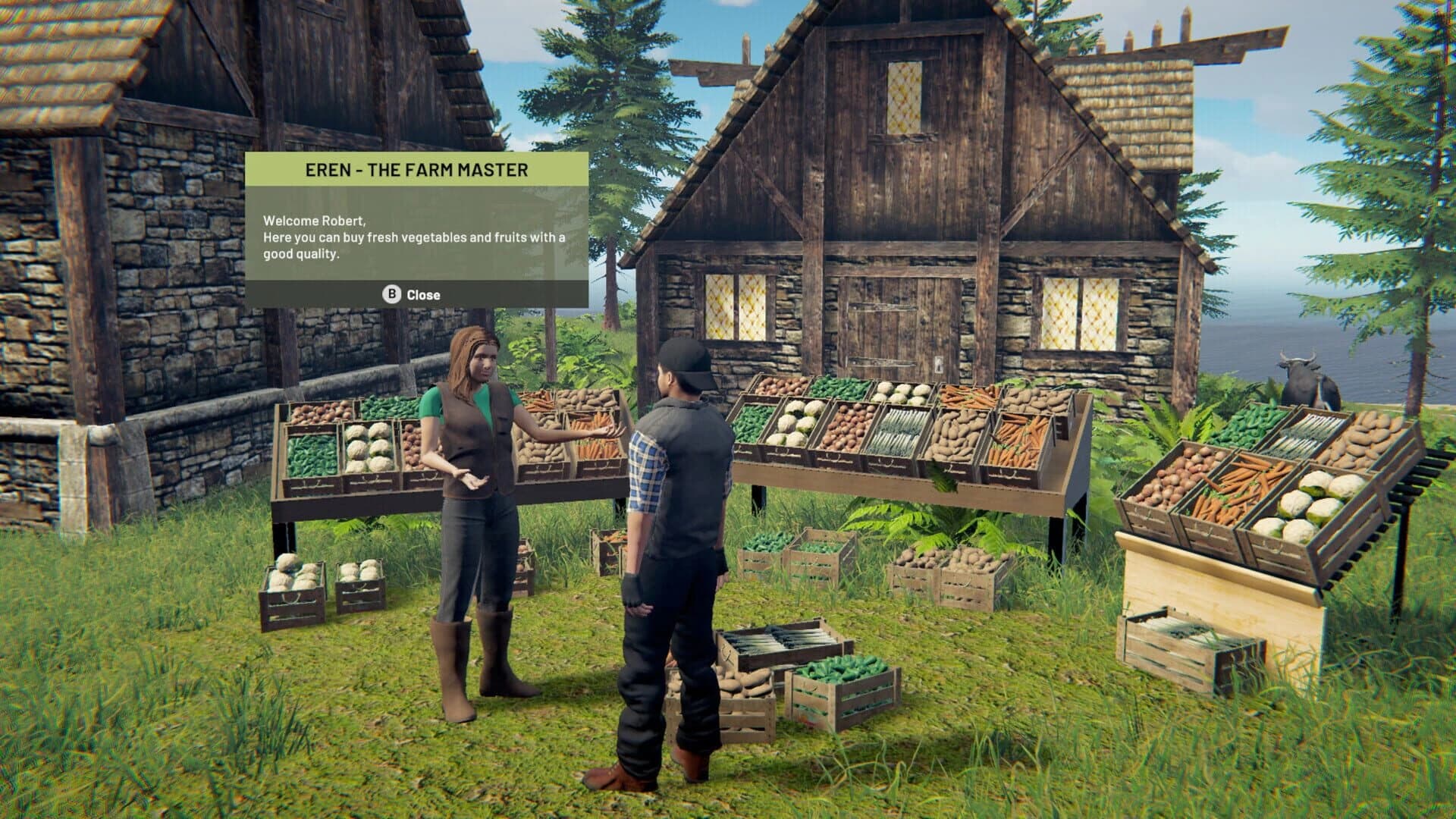 Village Dealer screenshot 2