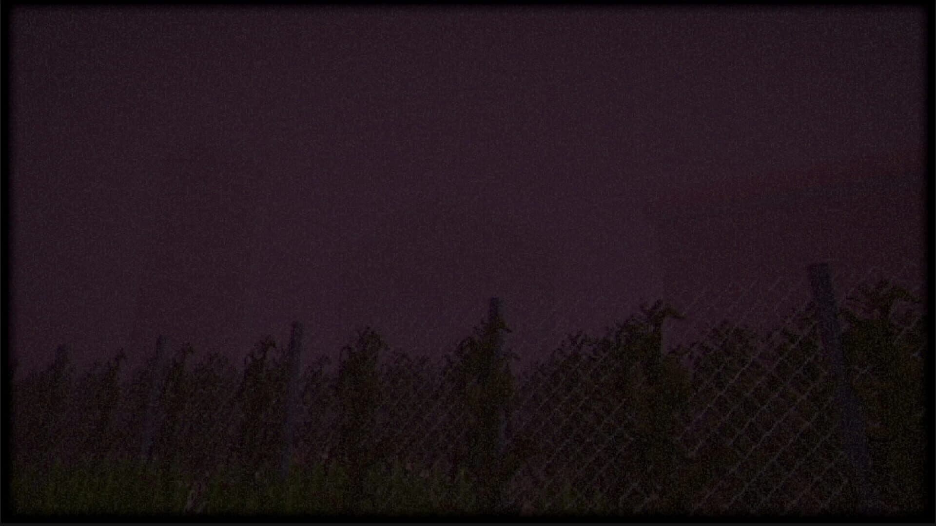 Vilomah screenshot 3