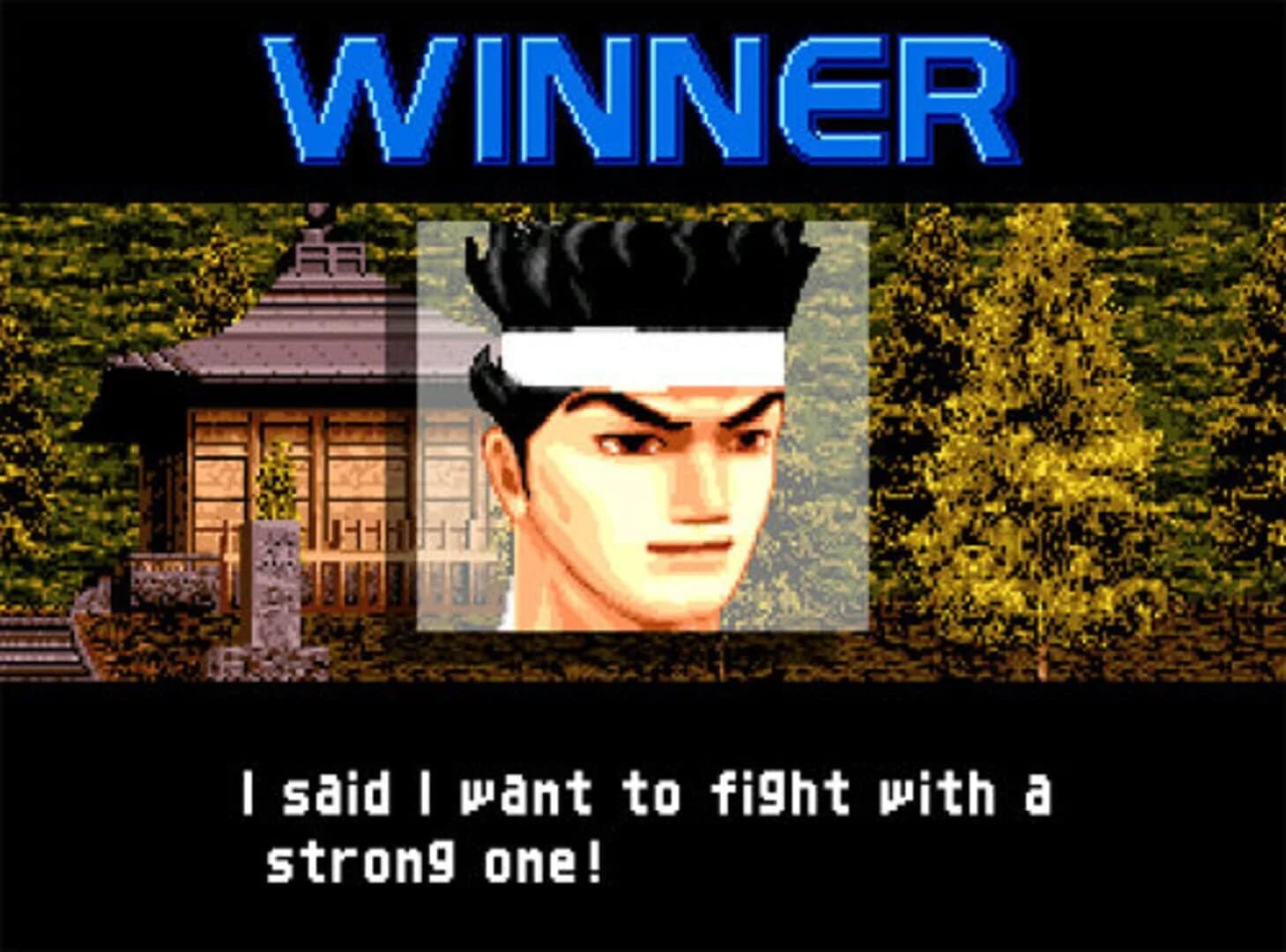 Virtua Fighter 2 screenshot 3