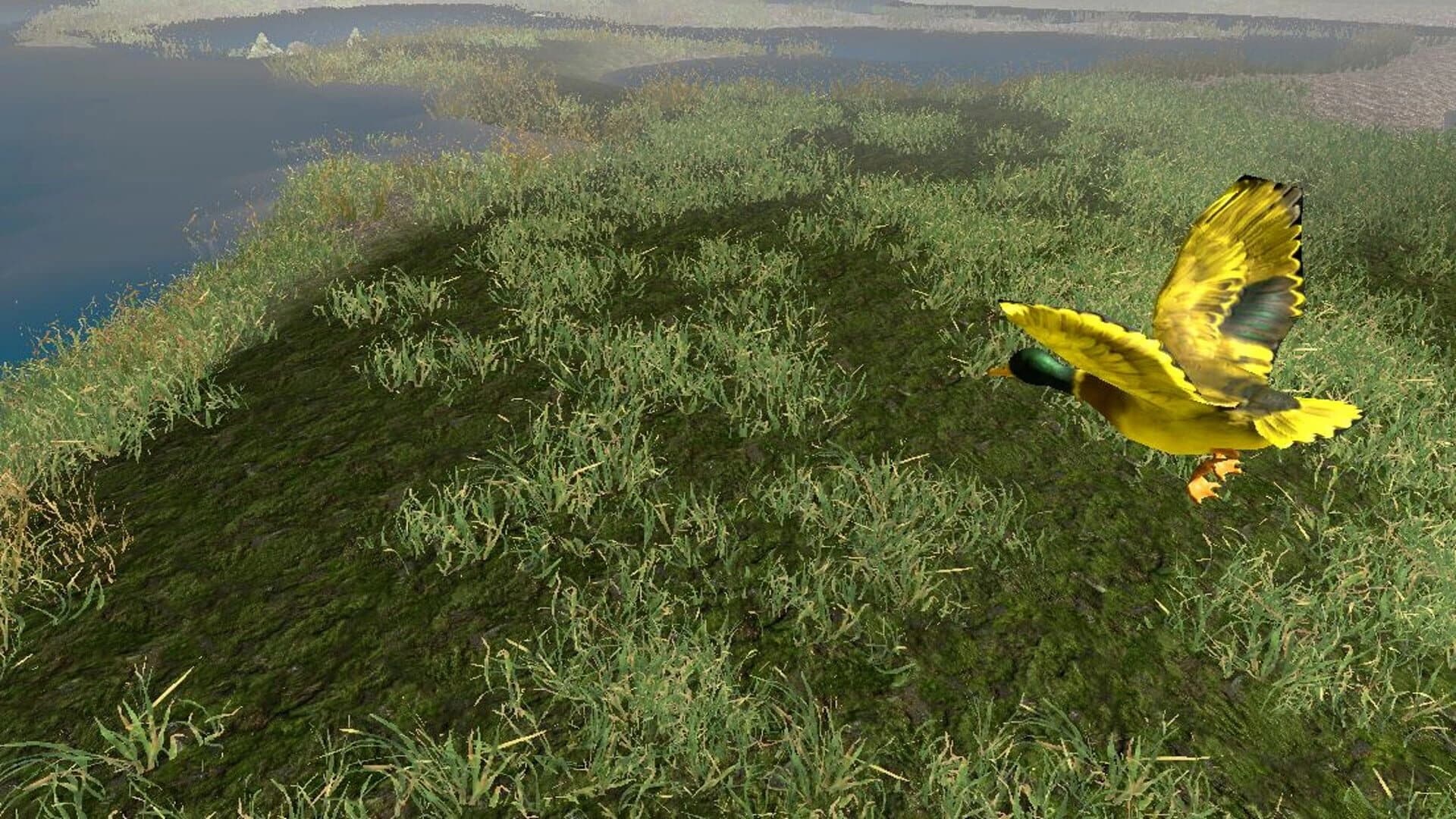 Virtual Hunting Experience screenshot 5