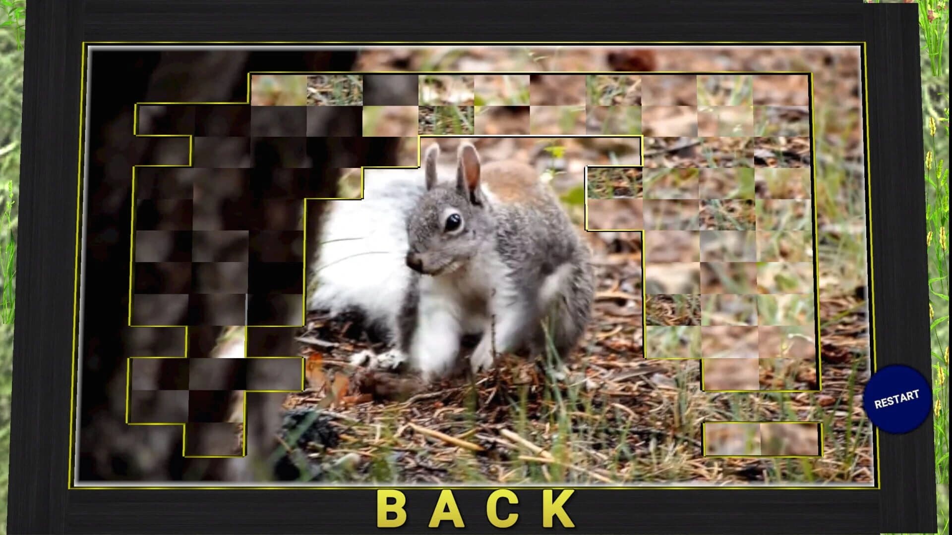 Vizzle screenshot 1
