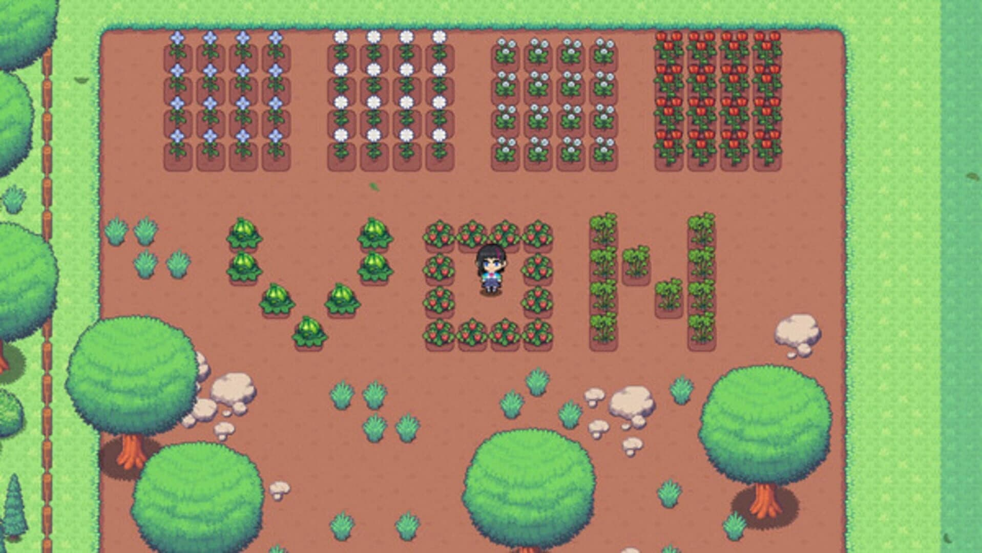 Voice of Nature screenshot 4