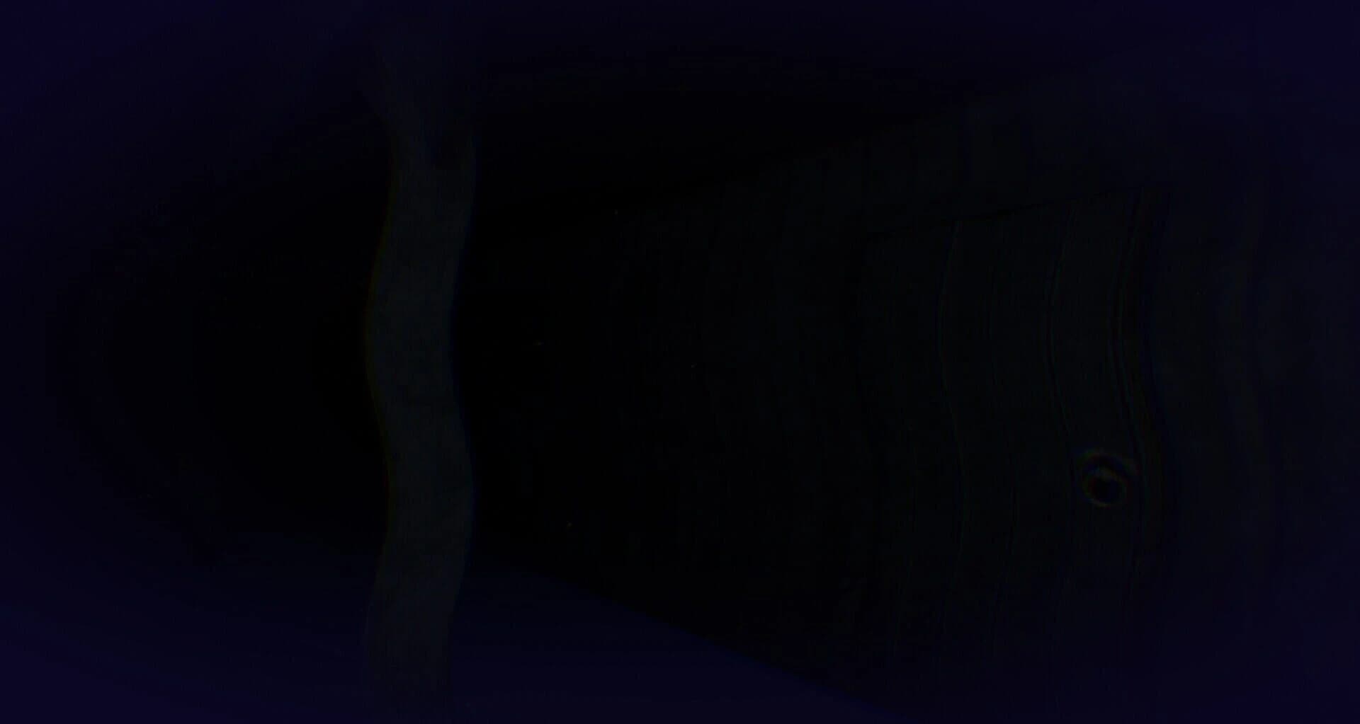 Vossarium screenshot 5