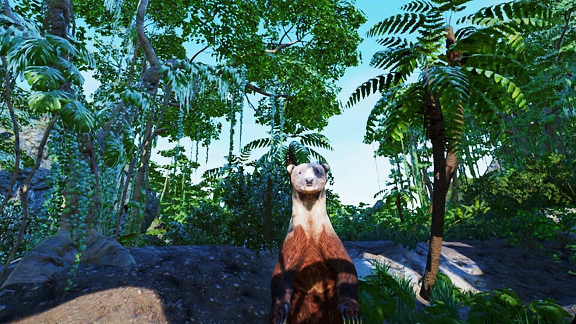 VR Animal Kids Rumble screenshot 2