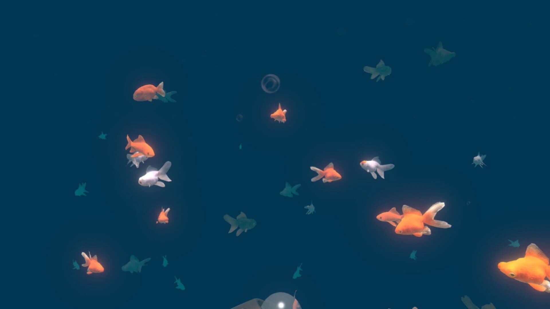 VR Aquarium Miyabi screenshot 2
