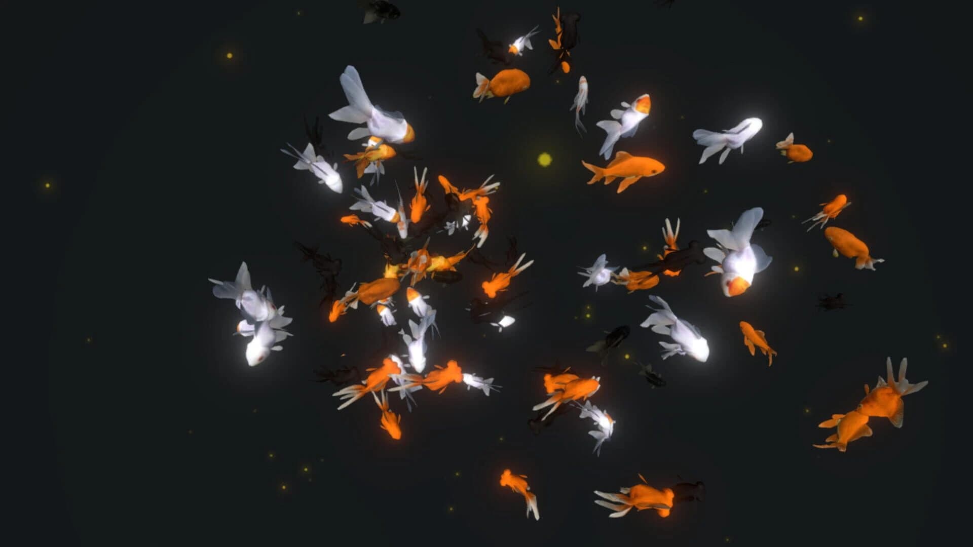 VR Aquarium Miyabi screenshot 4