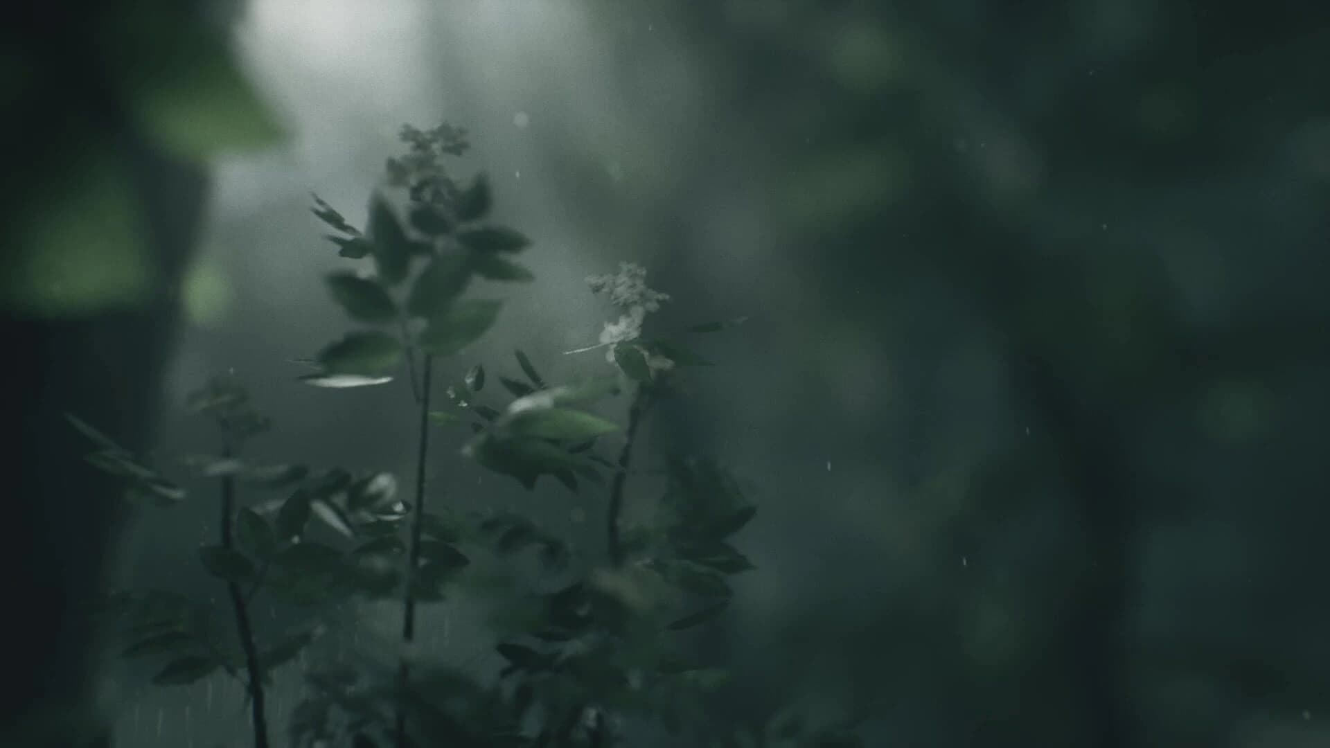Wakamarina Valley, New Zealand screenshot 2