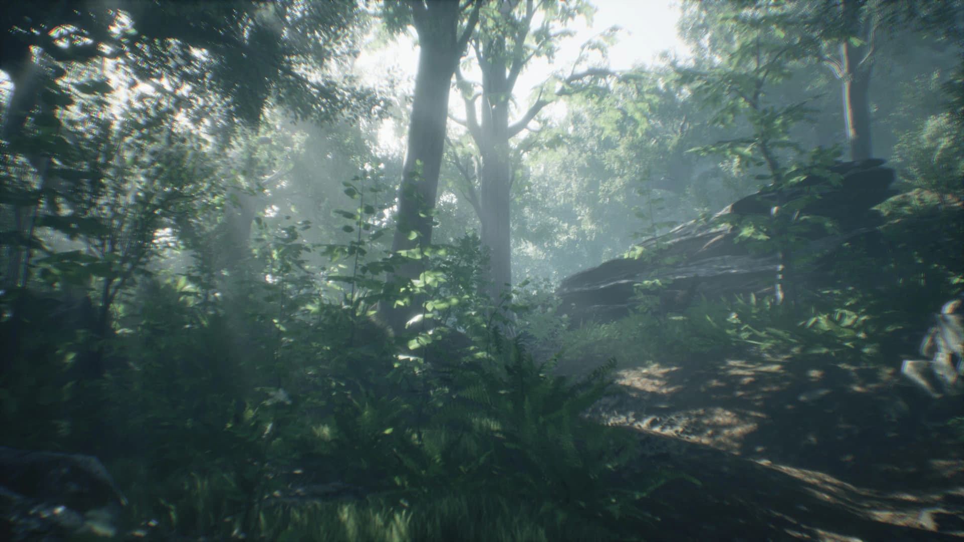 Wakamarina Valley, New Zealand screenshot 6