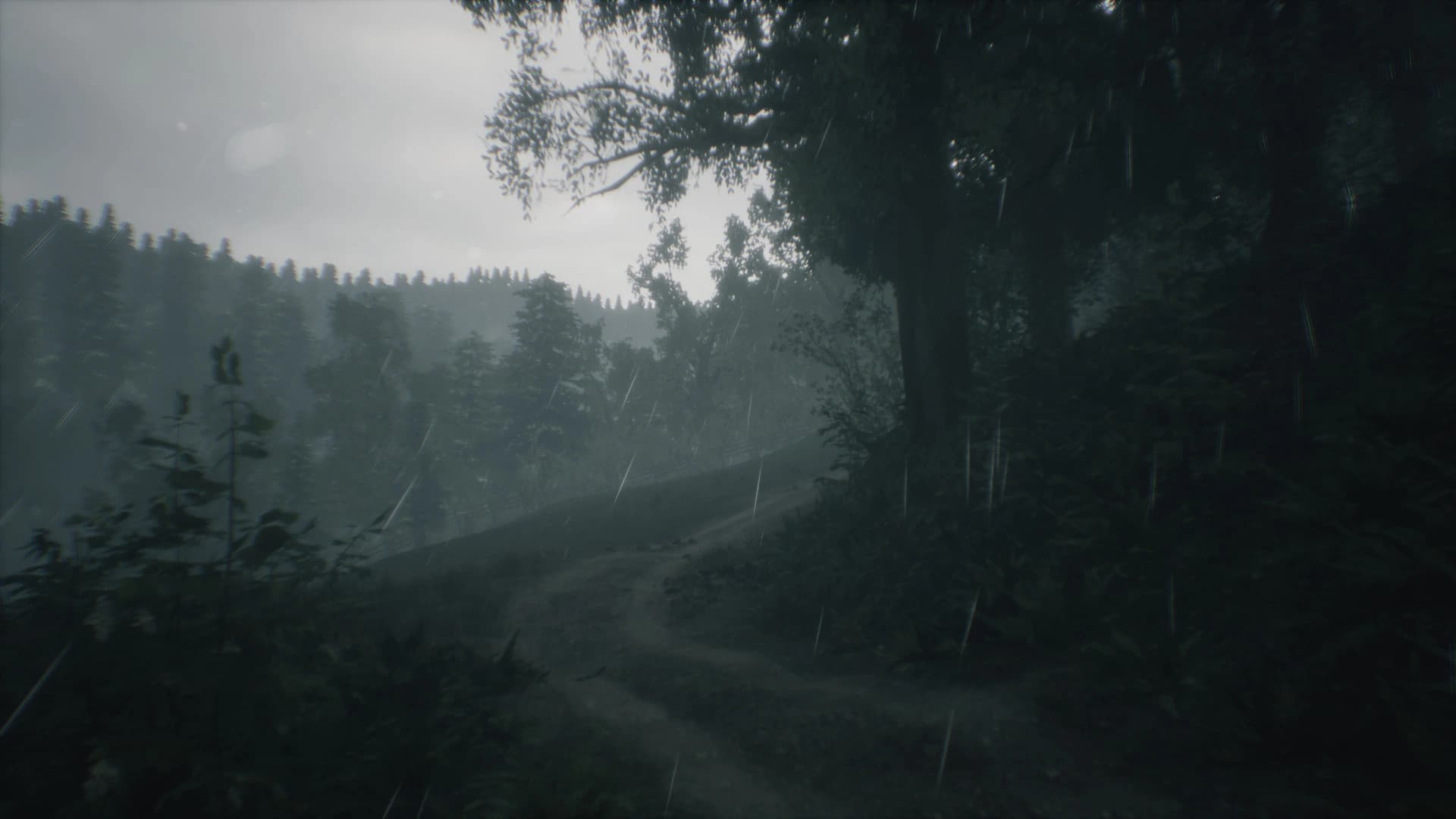 Wakamarina Valley, New Zealand screenshot 8