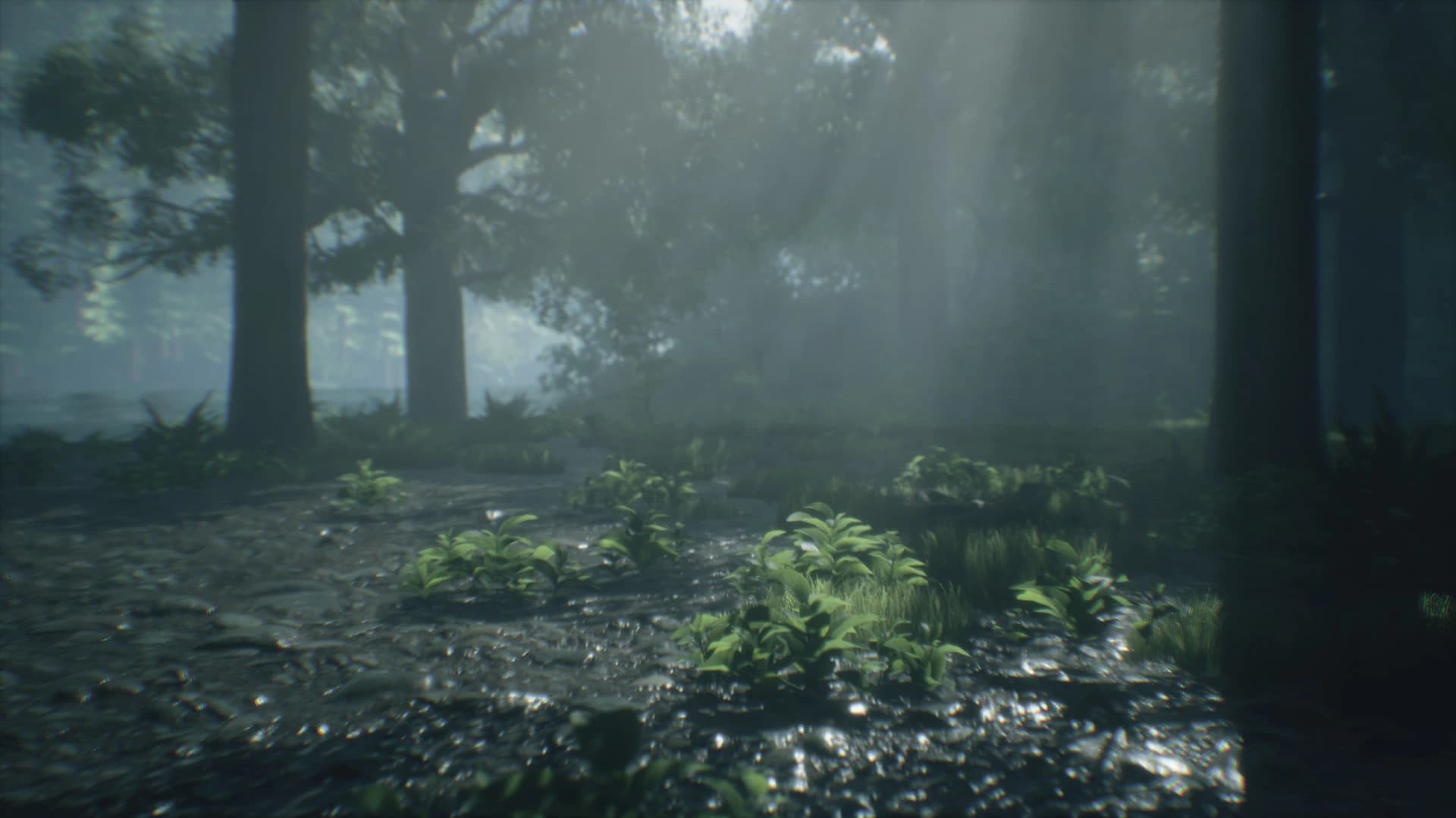 Wakamarina Valley, New Zealand screenshot 5