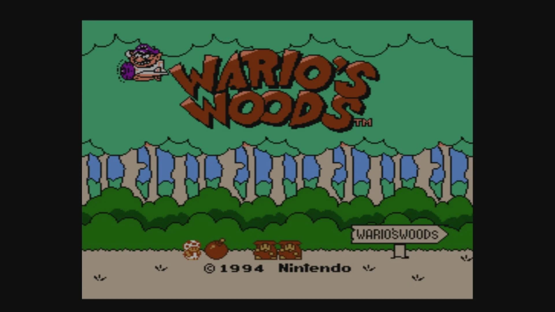 Wario's Woods screenshot 1
