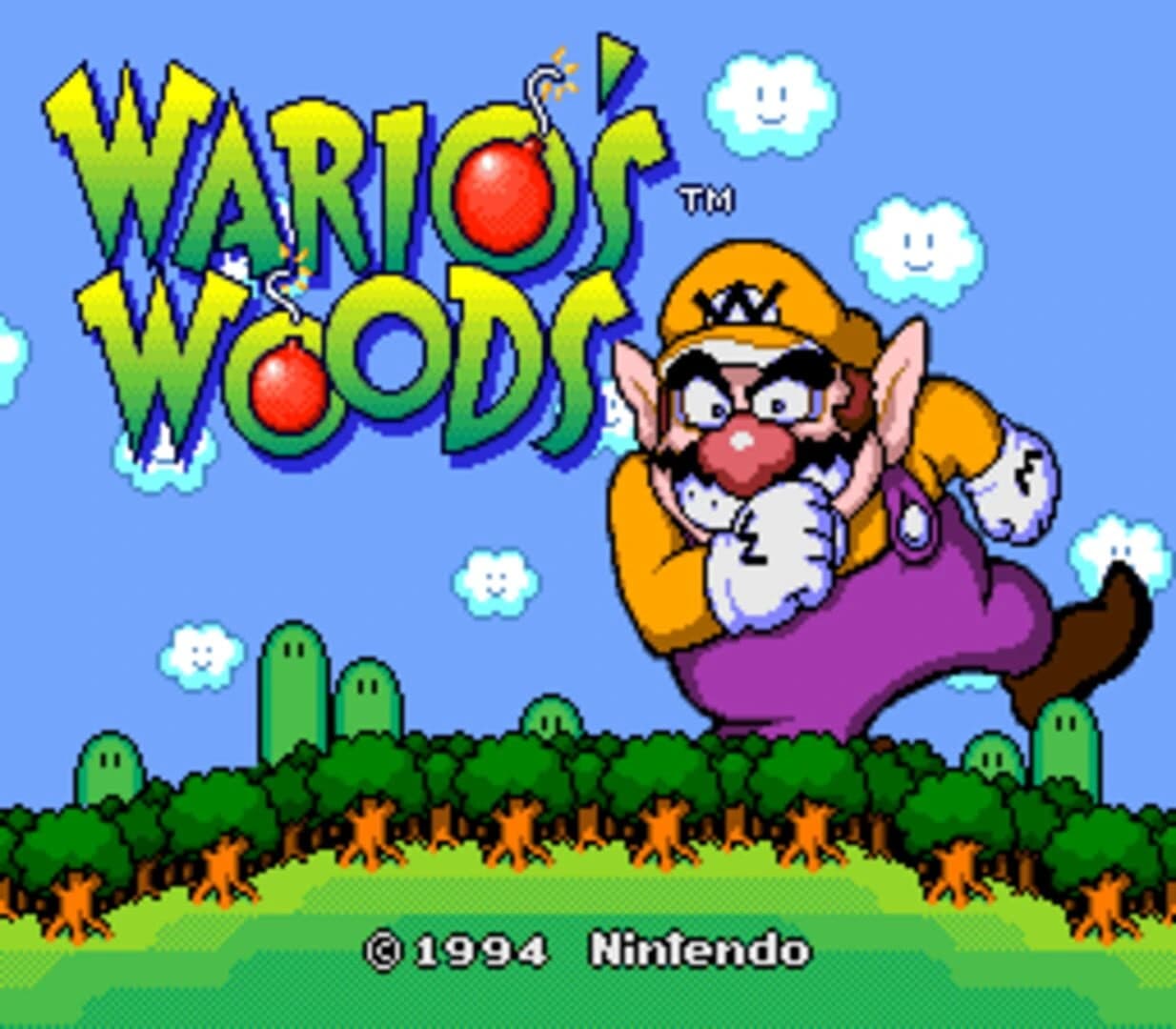 Wario's Woods screenshot 2