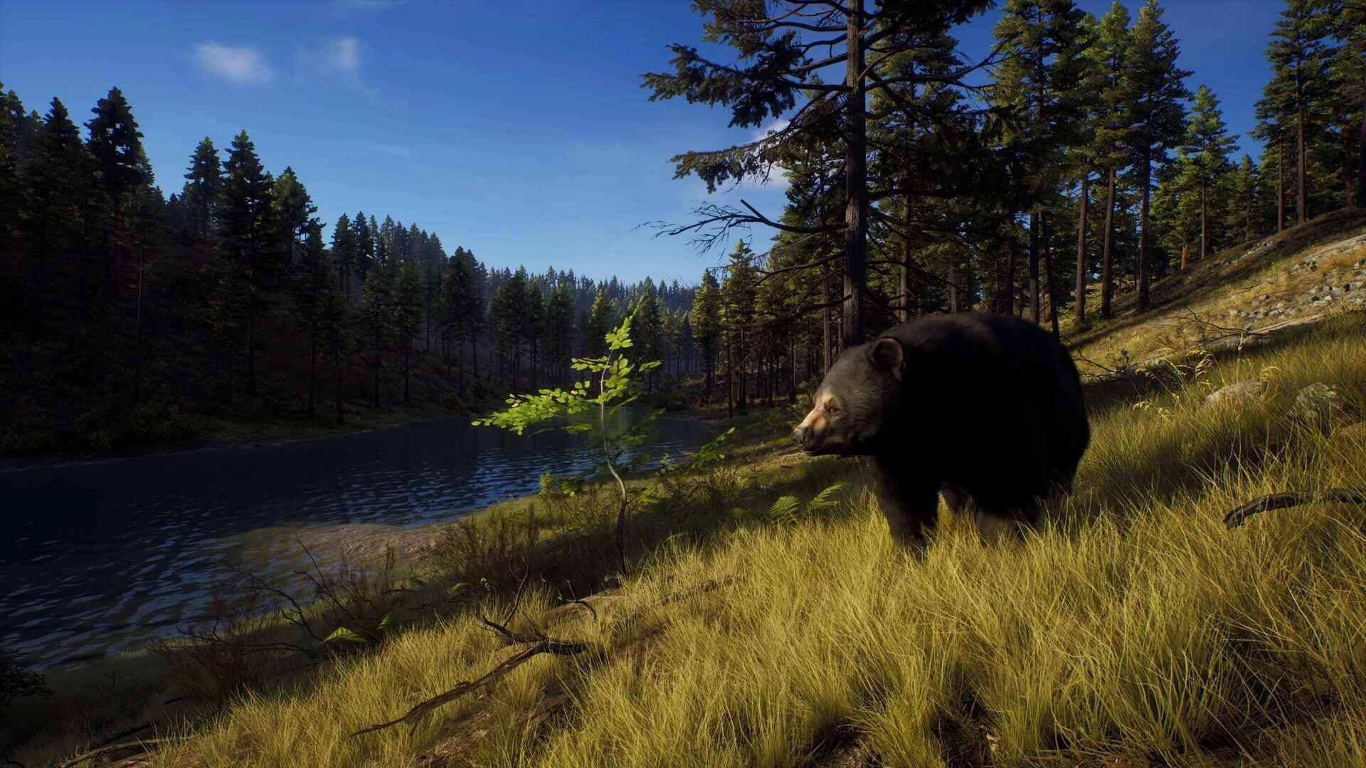 Way of the Hunter: Elite Edition screenshot 2