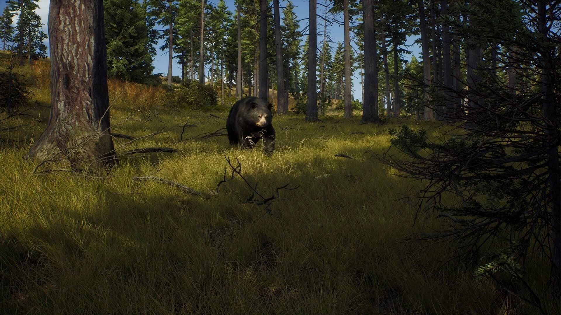 Way of the Hunter: Elite Edition screenshot 5