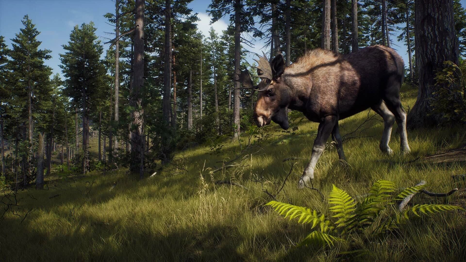 Way of the Hunter: Elite Edition screenshot 1