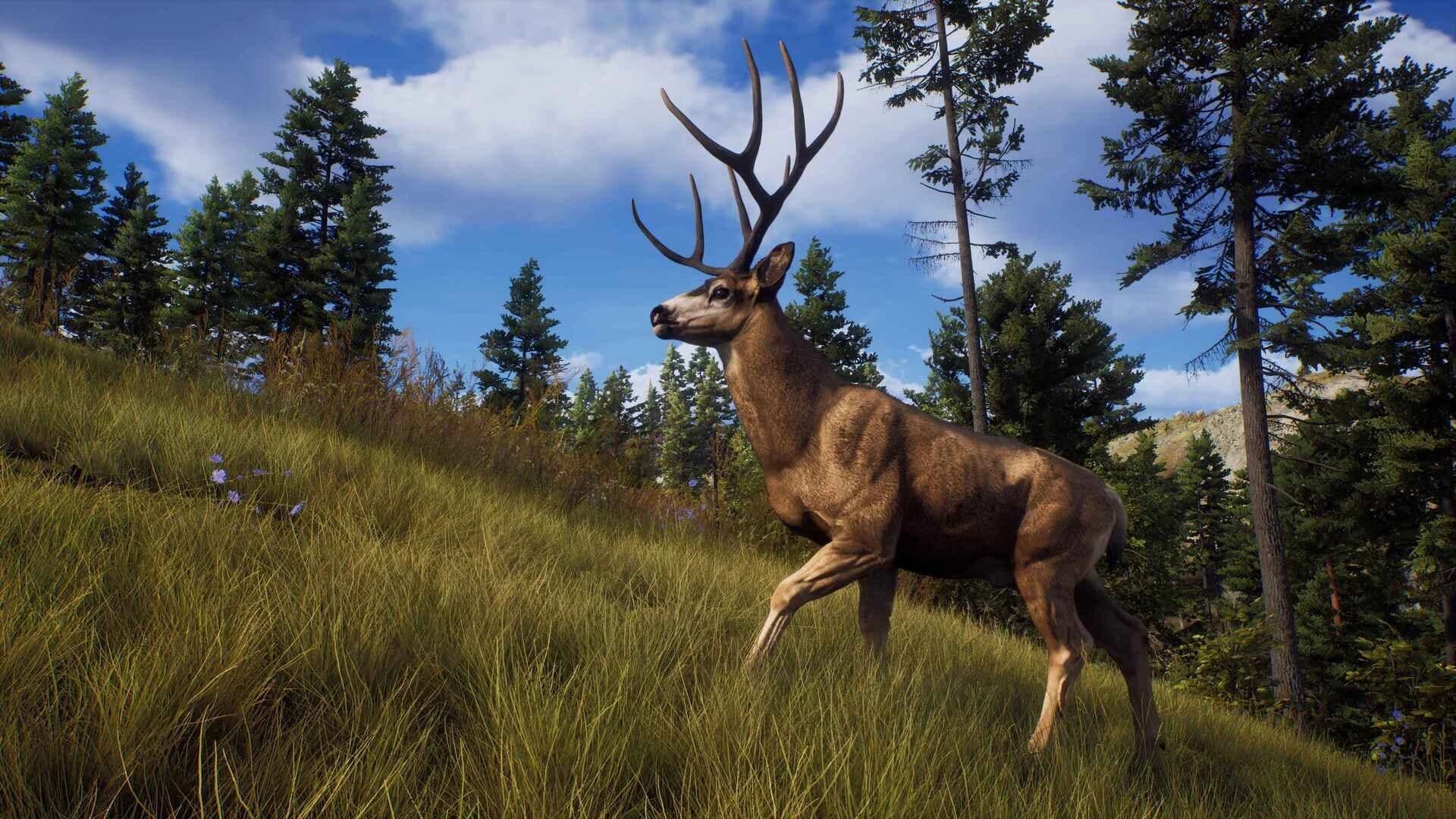 Way of the Hunter: Elite Edition screenshot 3