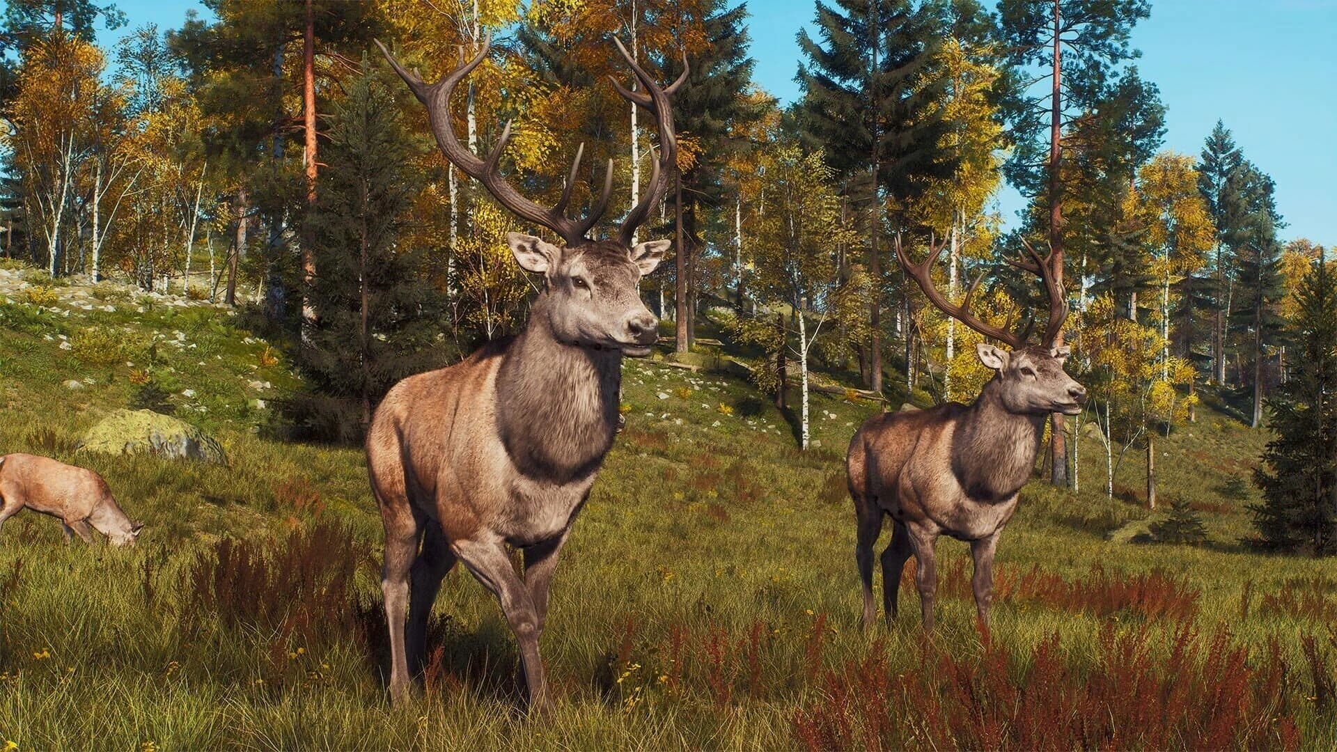 Way of the Hunter: Lintukoto Reserve screenshot 5