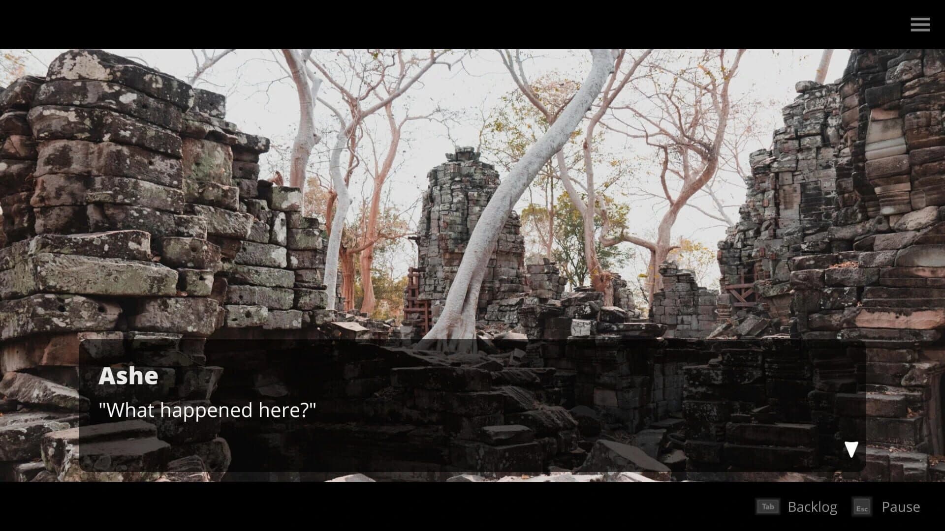 We Carry the Fire screenshot 2