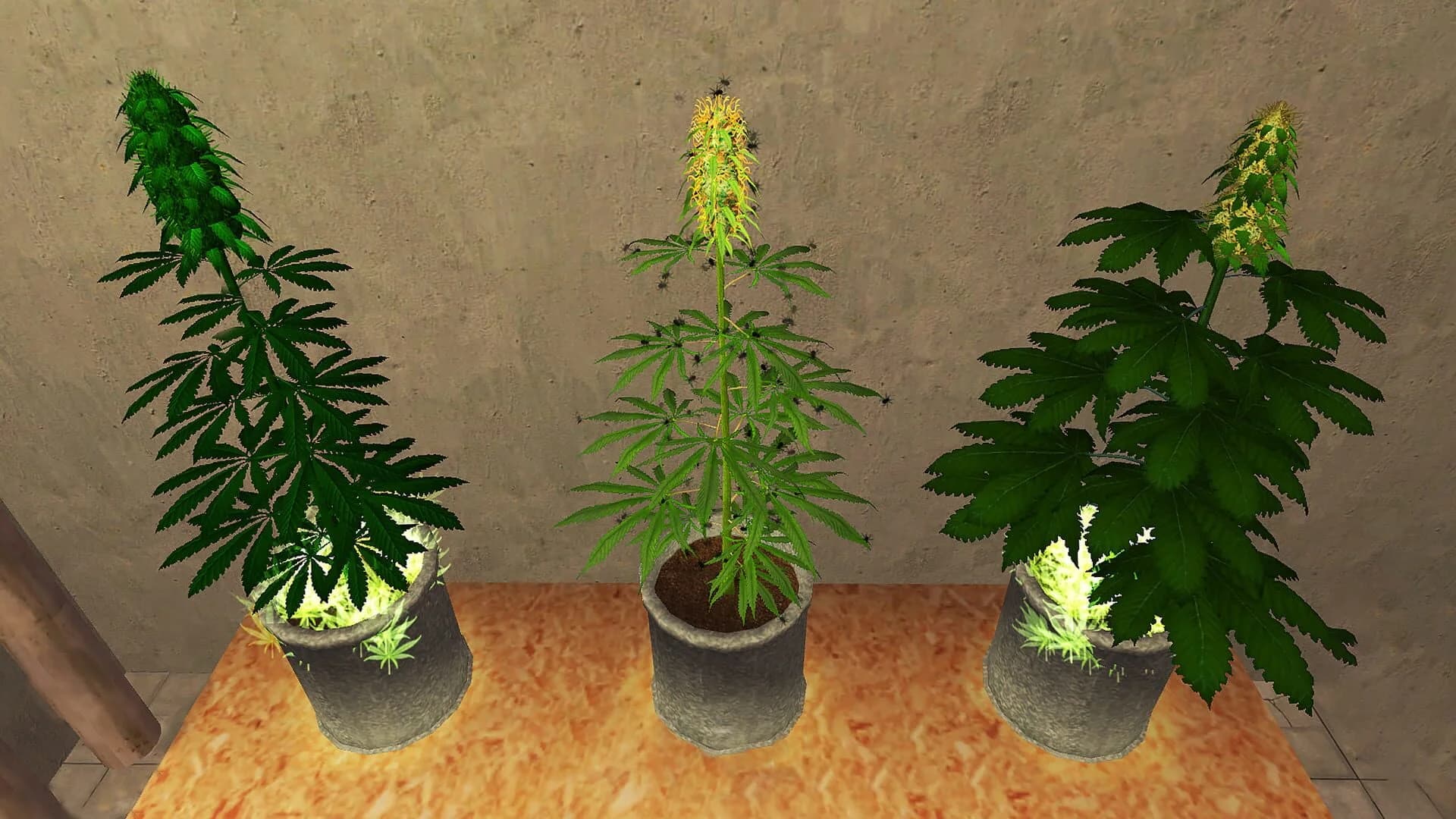 Weed Shop 2 screenshot 2